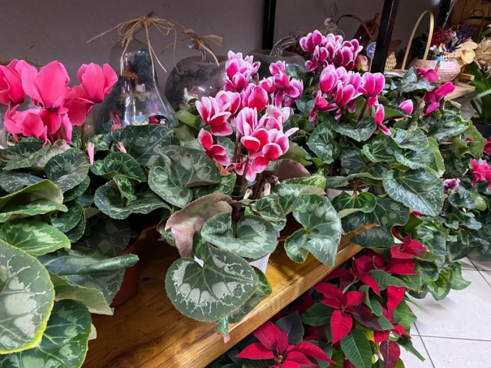 Fethiye'de Çiçekçilerde Öğretmenler Günü Hareketliliği