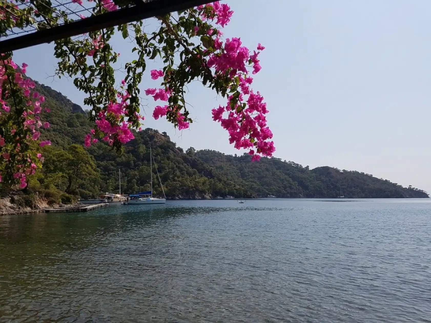 Bedri Rahmi Koyu nerededir? Nasıl gidilir? Adını nereden almıştır?