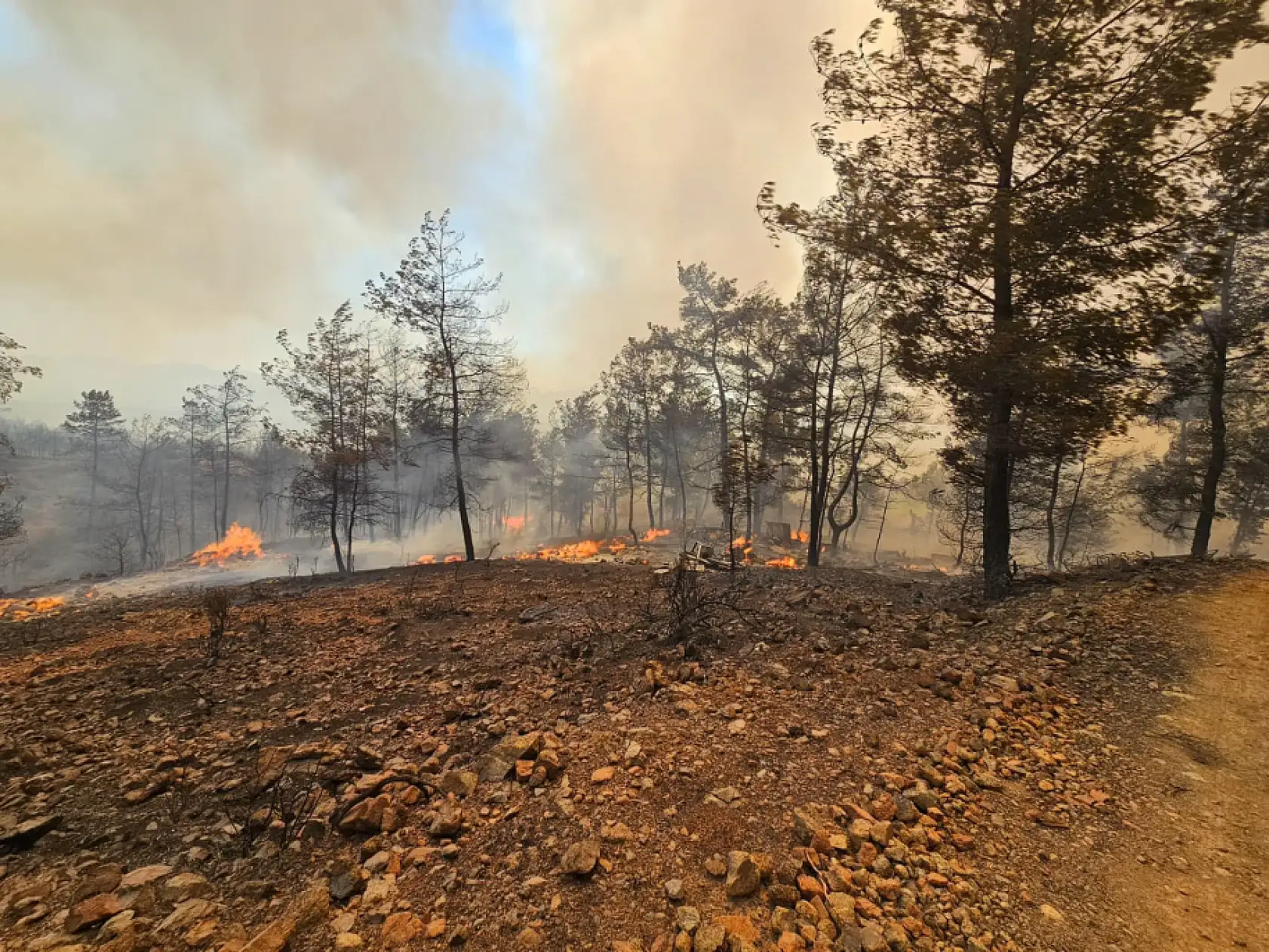 Muğla Büyükşehir İtfaiyesi Milas ve Köyceğiz'de Alevlerle Mücadelede