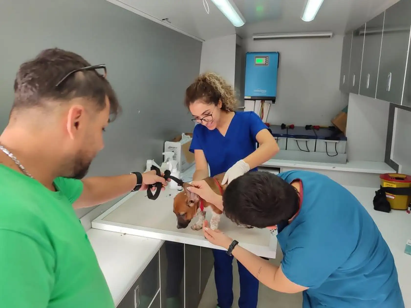 62 Bin 63 Evcil Hayvana Mikroçip Takıldı