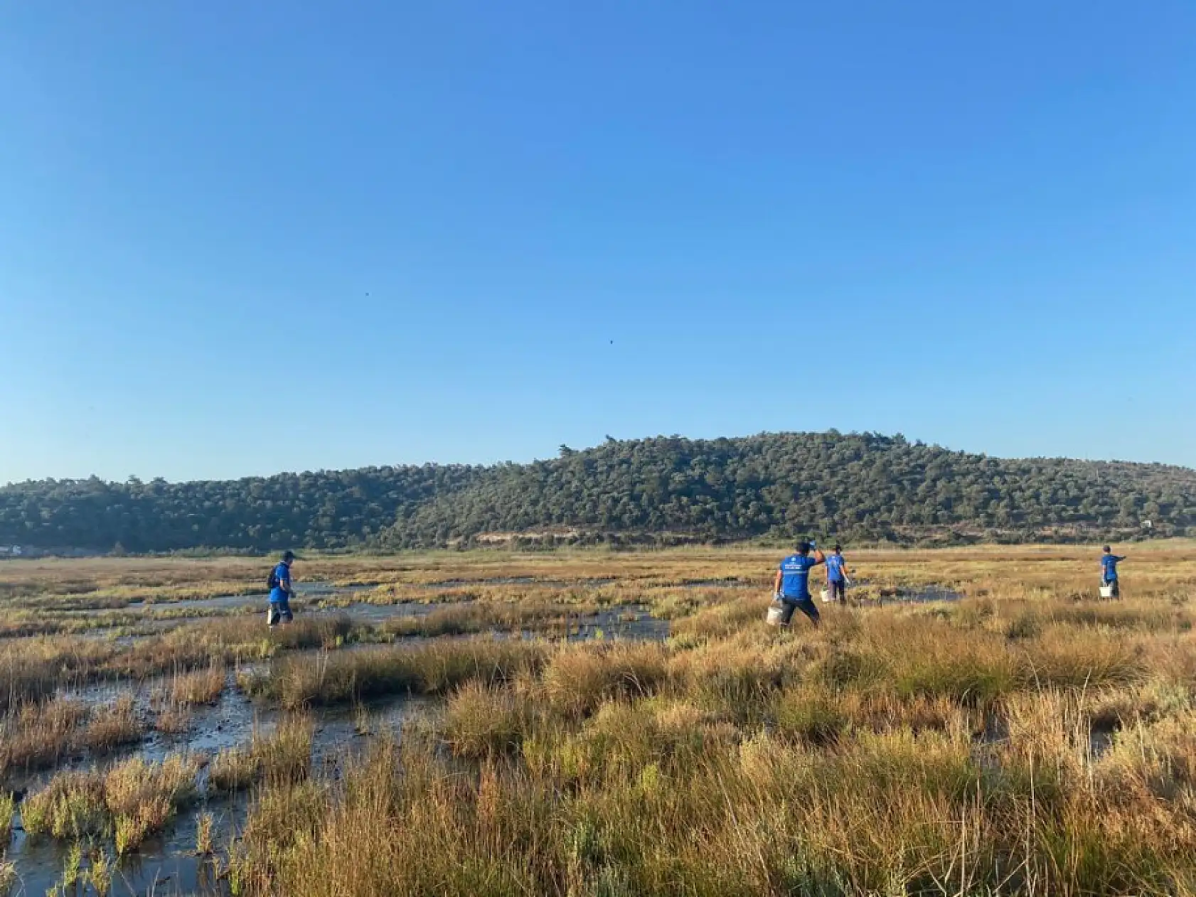 Muğla Büyükşehir'den vektörle mücadele