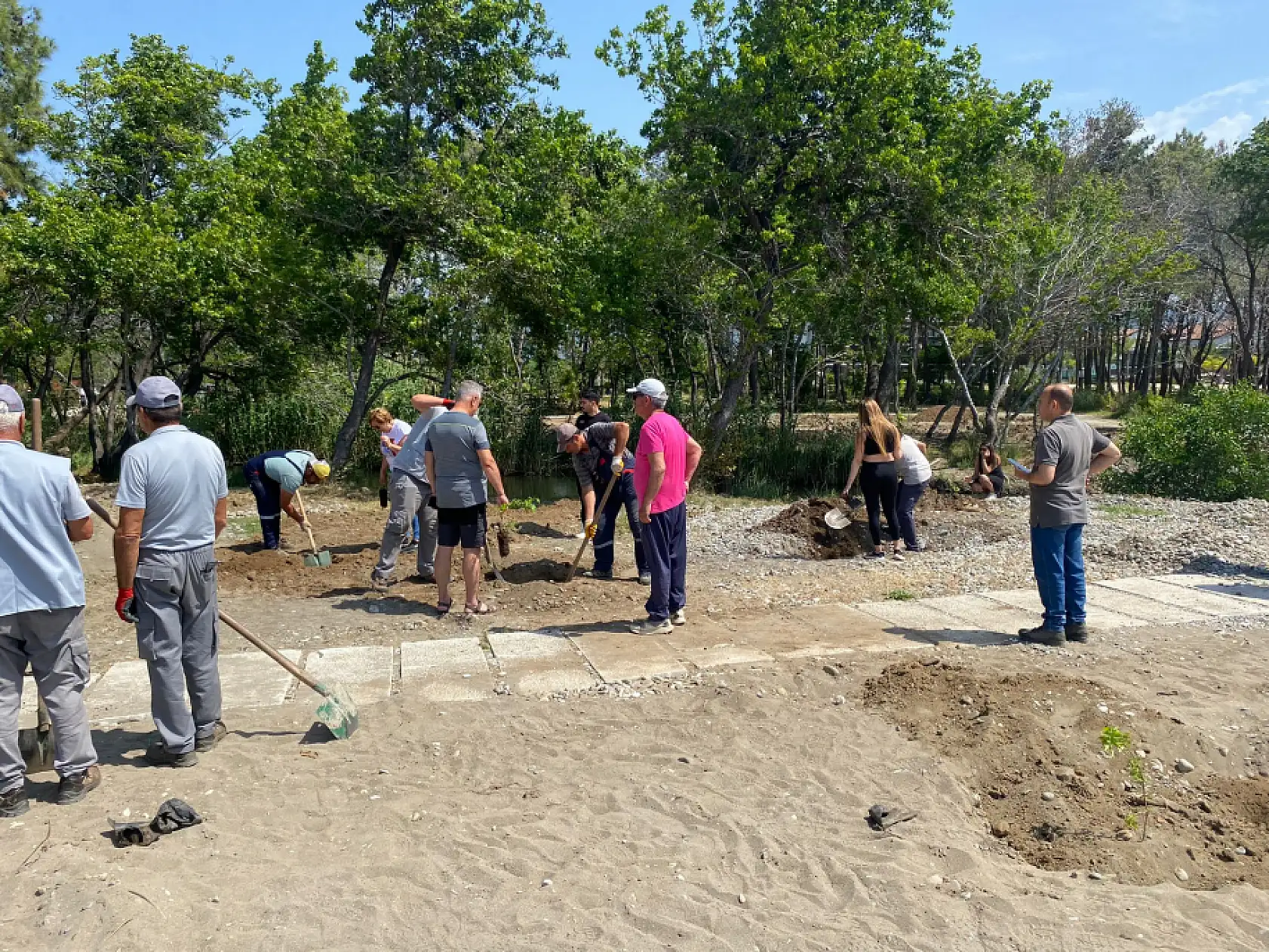 Fethiye Akmaz Halk Plajı'nda Ağaçlandırma Seferberliği