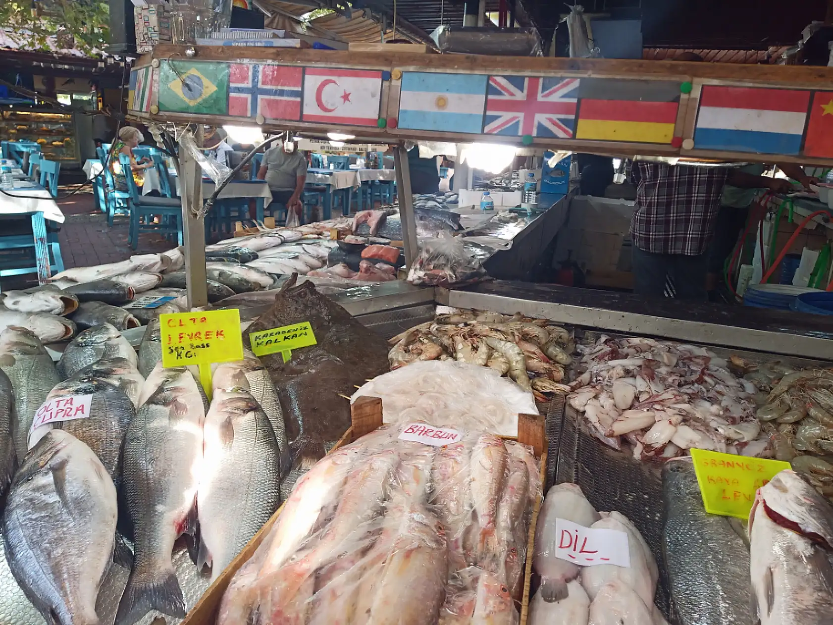 Fethiye Balık Pazarı'nda palamut revaçta