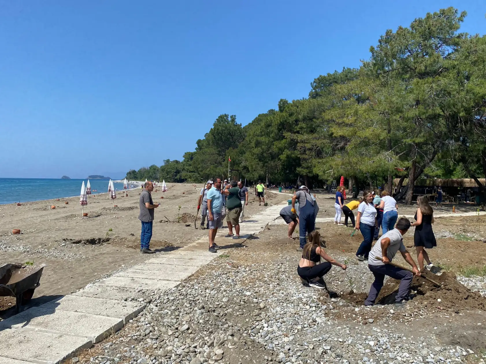 Fethiye Akmaz Halk Plajı'nda Ağaçlandırma Seferberliği