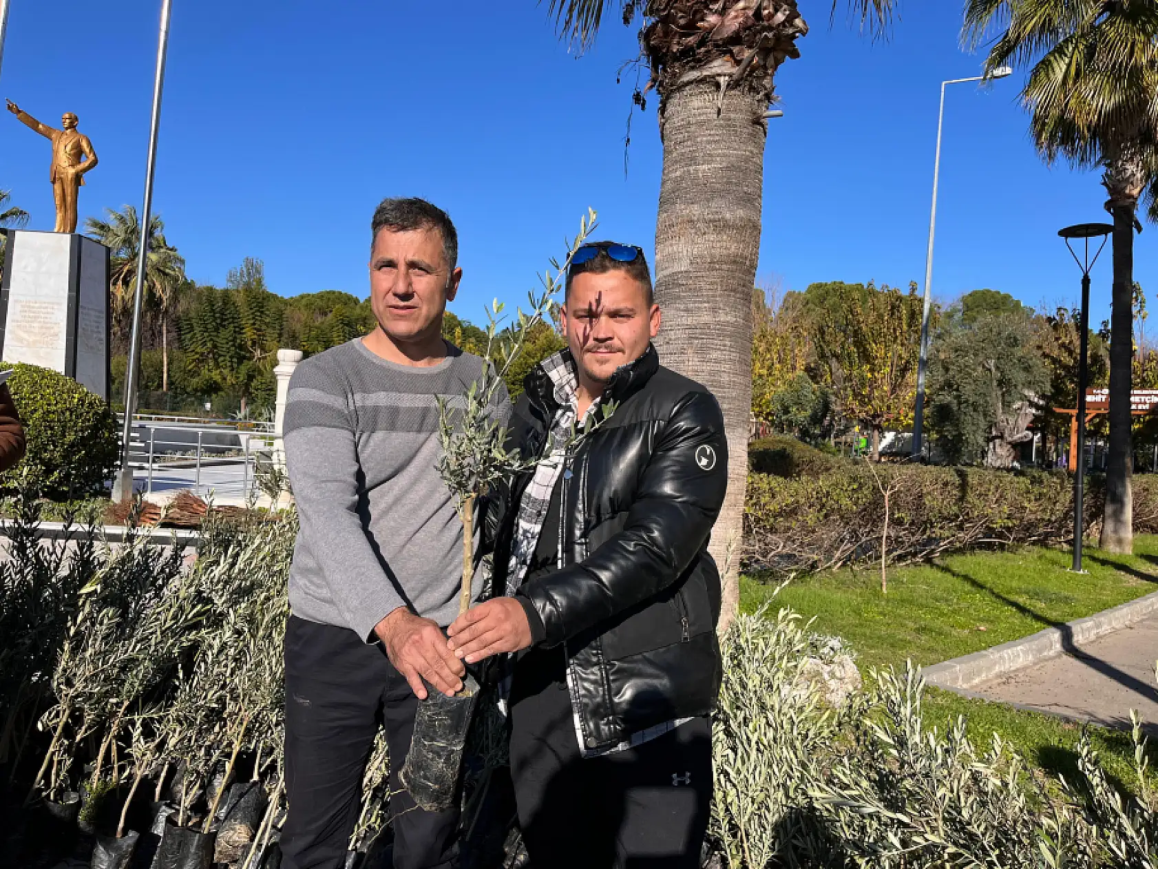 Dalaman'da Zeytin ve Ceviz Fidanları Dağıtıldı