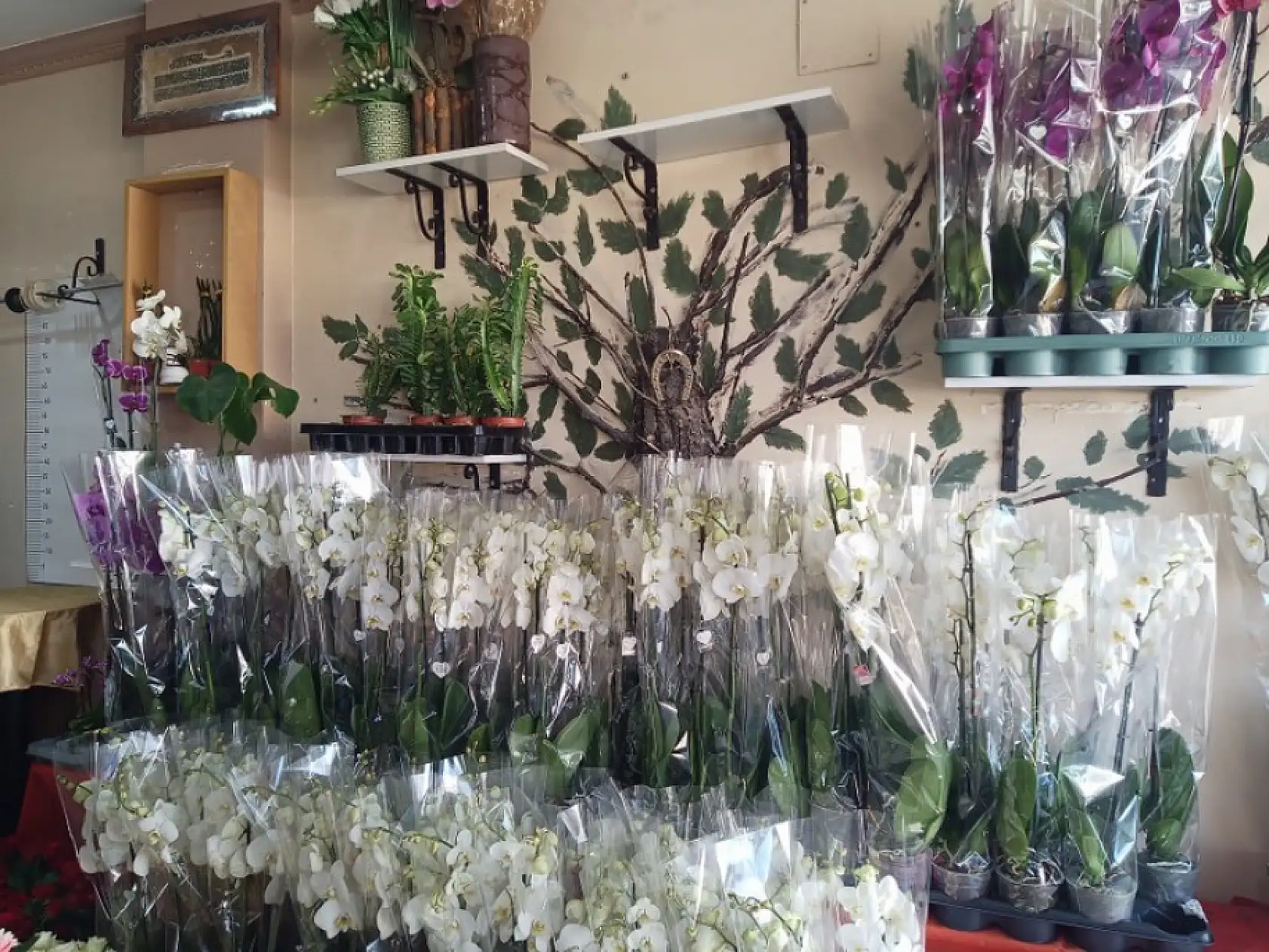 Fethiye'de çiçekçi Metin, 'Haksız rekabet yüzünden organizasyon işini bıraktım'