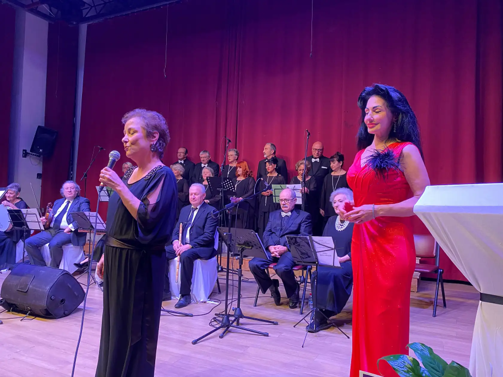 Fethiye'de Klasik Türk Halk Müziği Konseri Düzenlendi