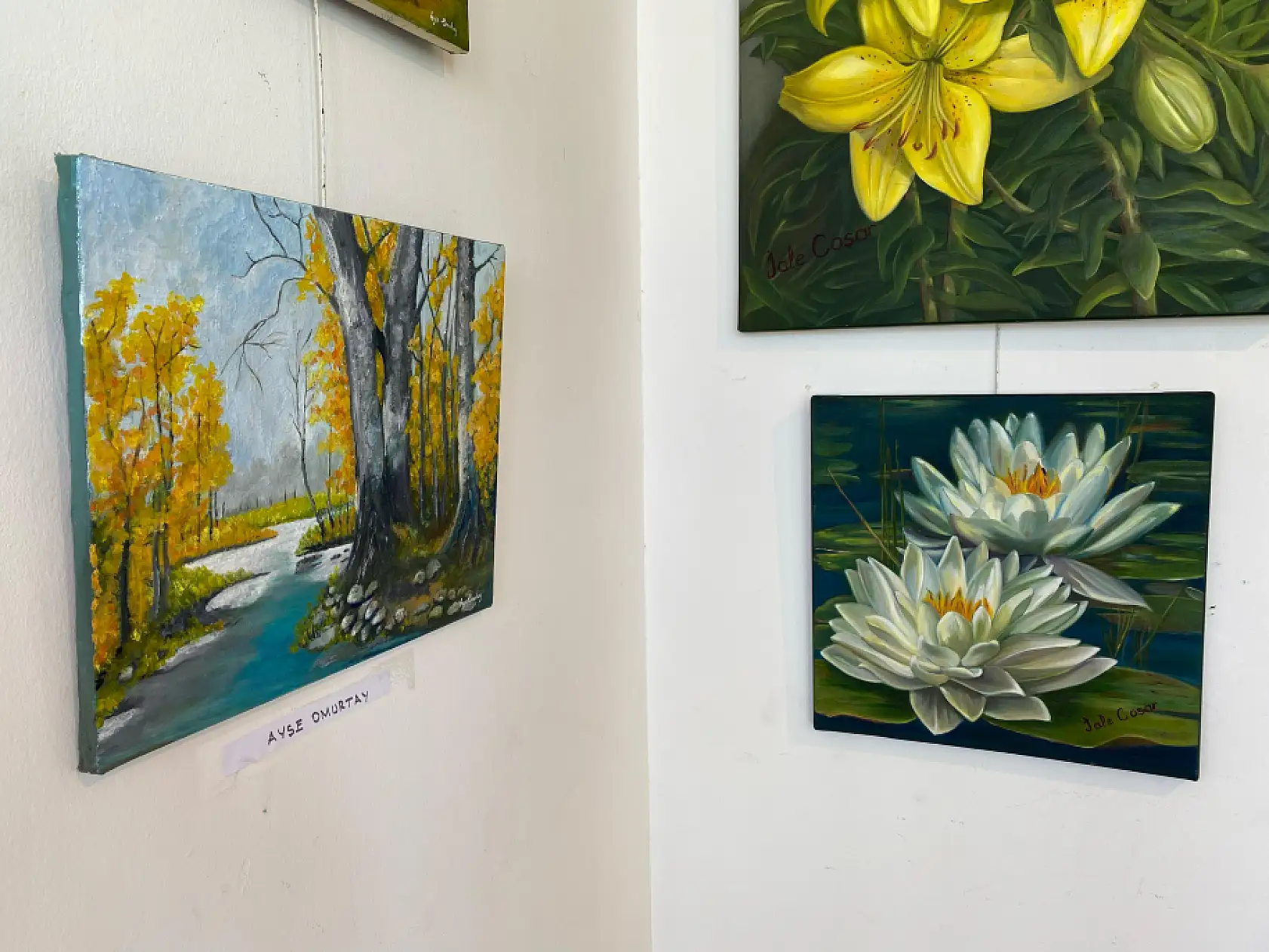 Fethiye'de 'Kadın ve Renk' sergisi sanatseverlerle buluştu