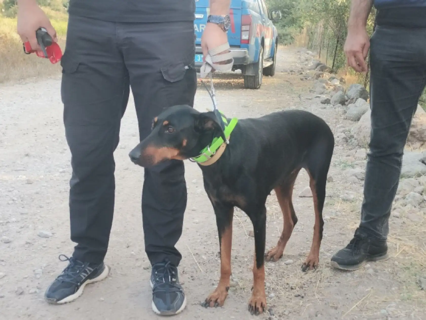 Ormanda bulunan kemikler, kayıp Ekonomist Berzeg'e ait çıktı