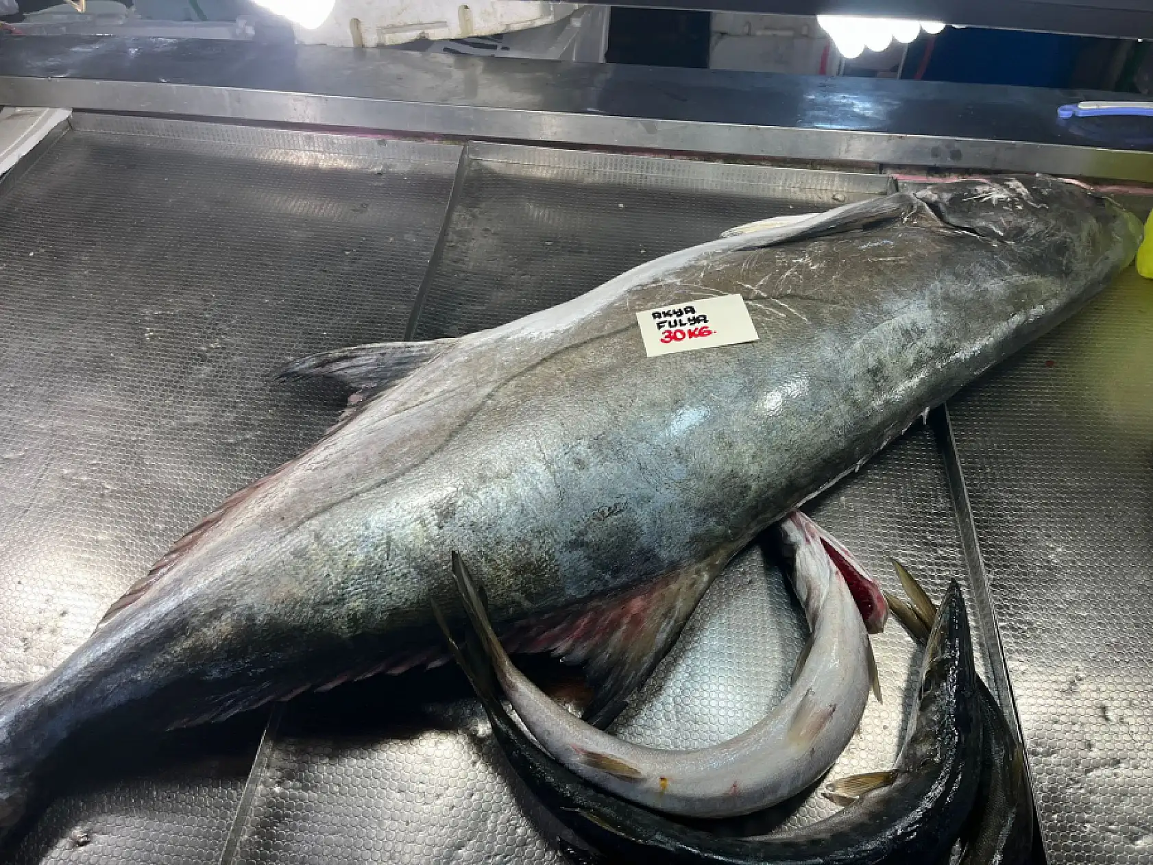 Balık fiyatları ucuzladı ama satış yok