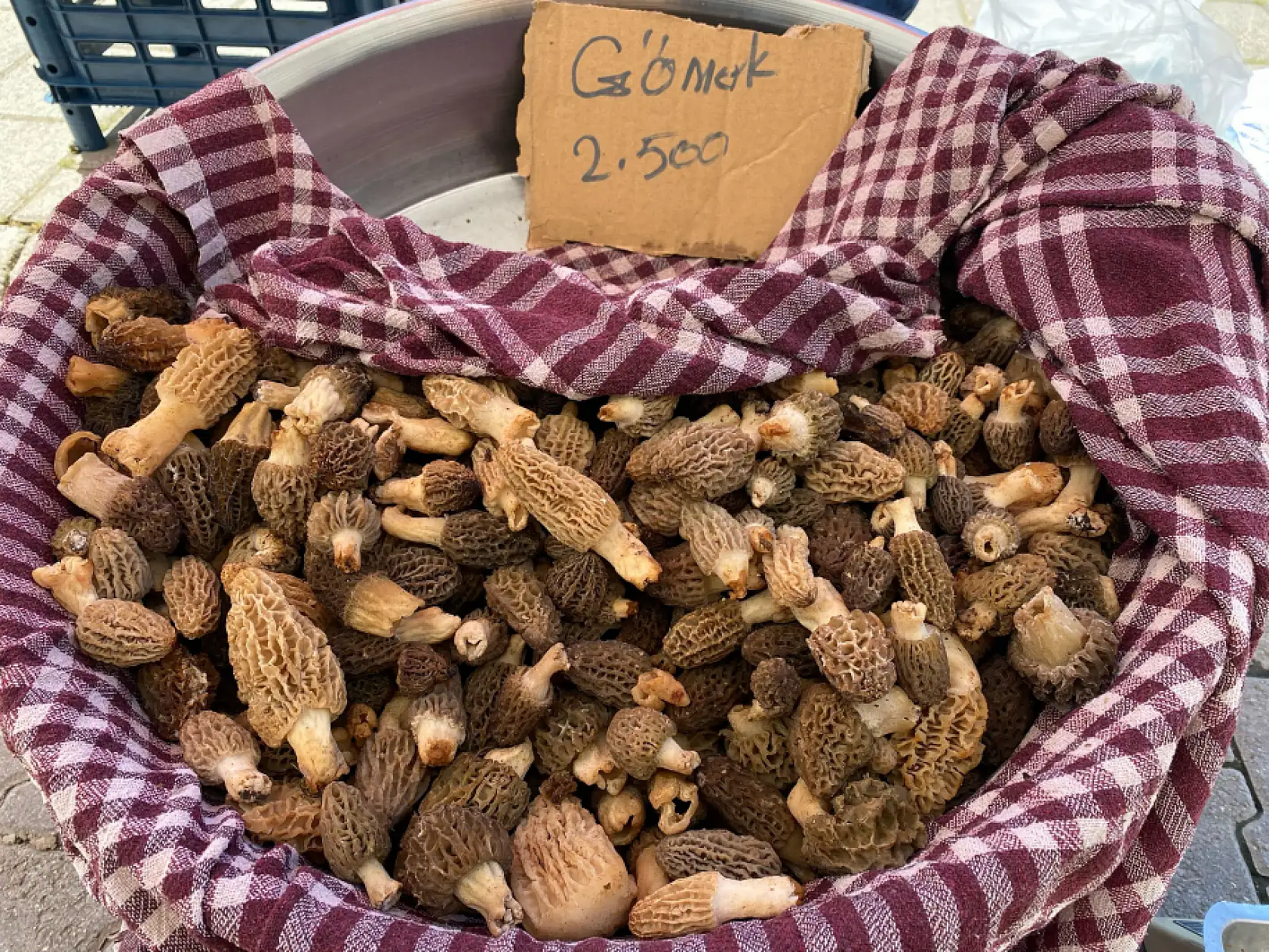 Fethiye'de Kuzugöbeği Mantarı altınla yarışıyor Kilosu 2500 TL