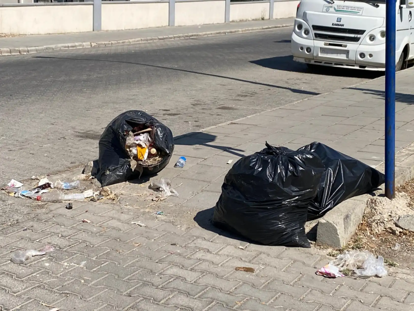 Fethiye'de yol kenarındaki çöp birikintisi tepki çekti