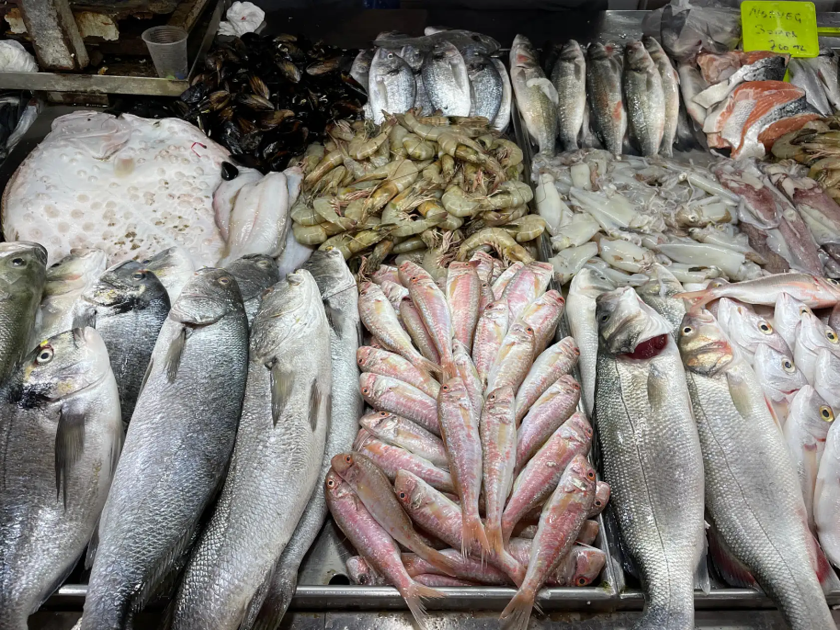 Balık sezonu Fethiye'de bereketli başladı