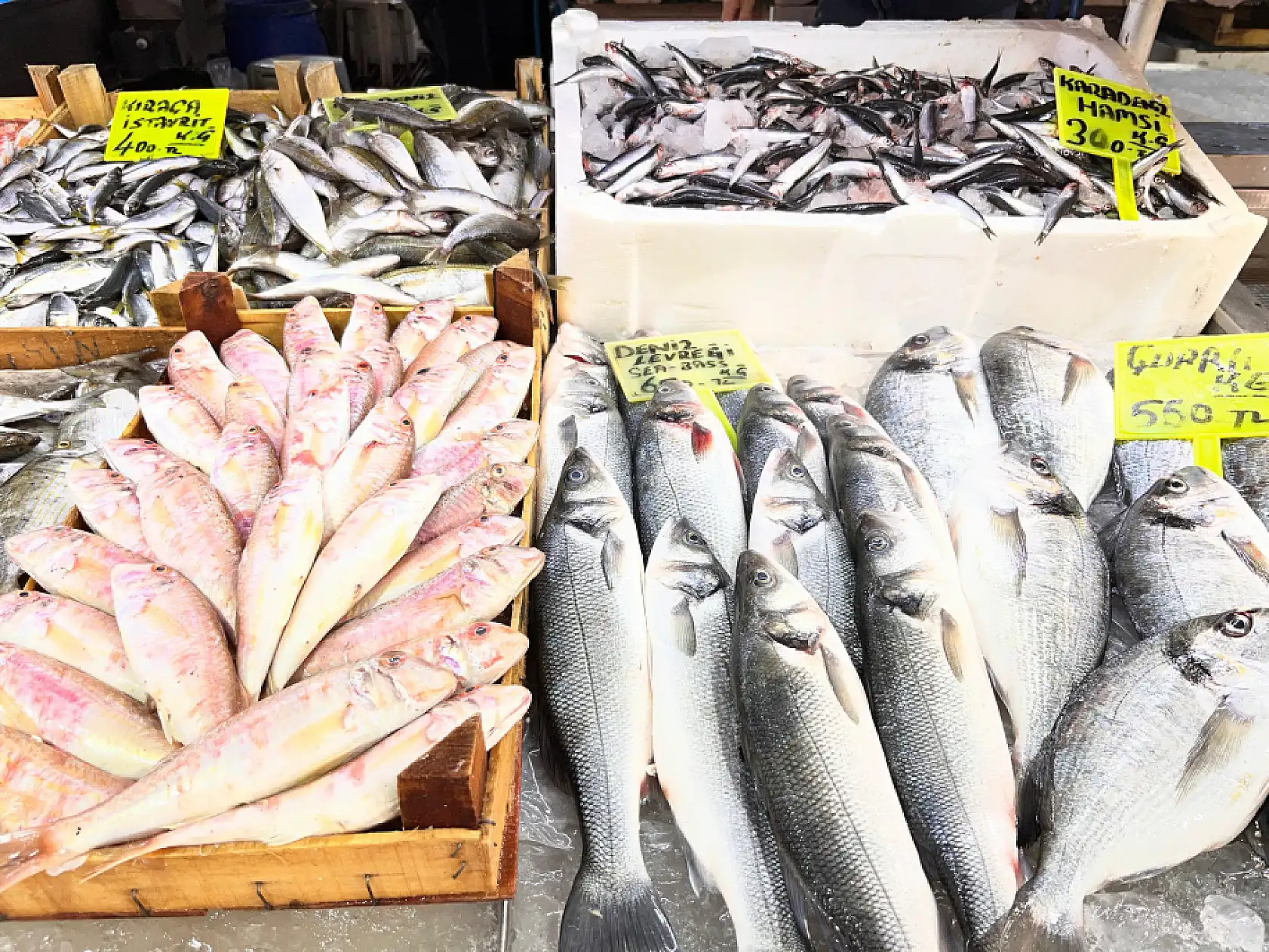 Fethiye'de balık tezgâhları şenlendi: Kış bereketiyle balık bolluğu başladı