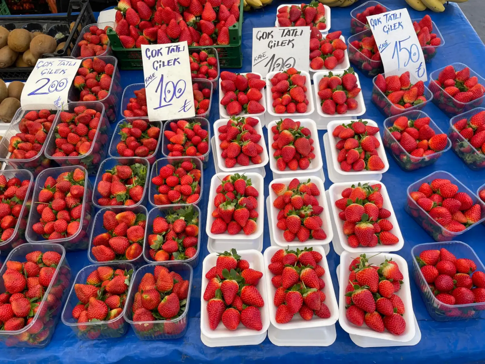 Fethiye'de Patlangıç Perşembe Pazarı'nda güncel fiyatlar