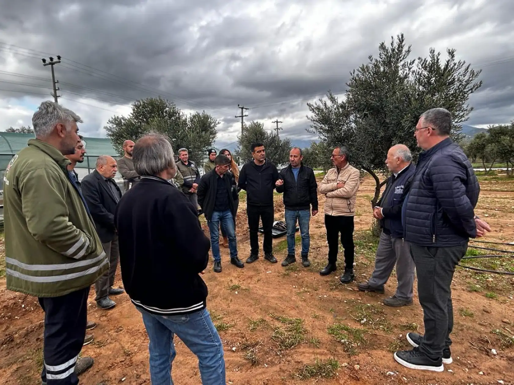 Üreticilere 'Zeytin Budama' eğitimi verildi