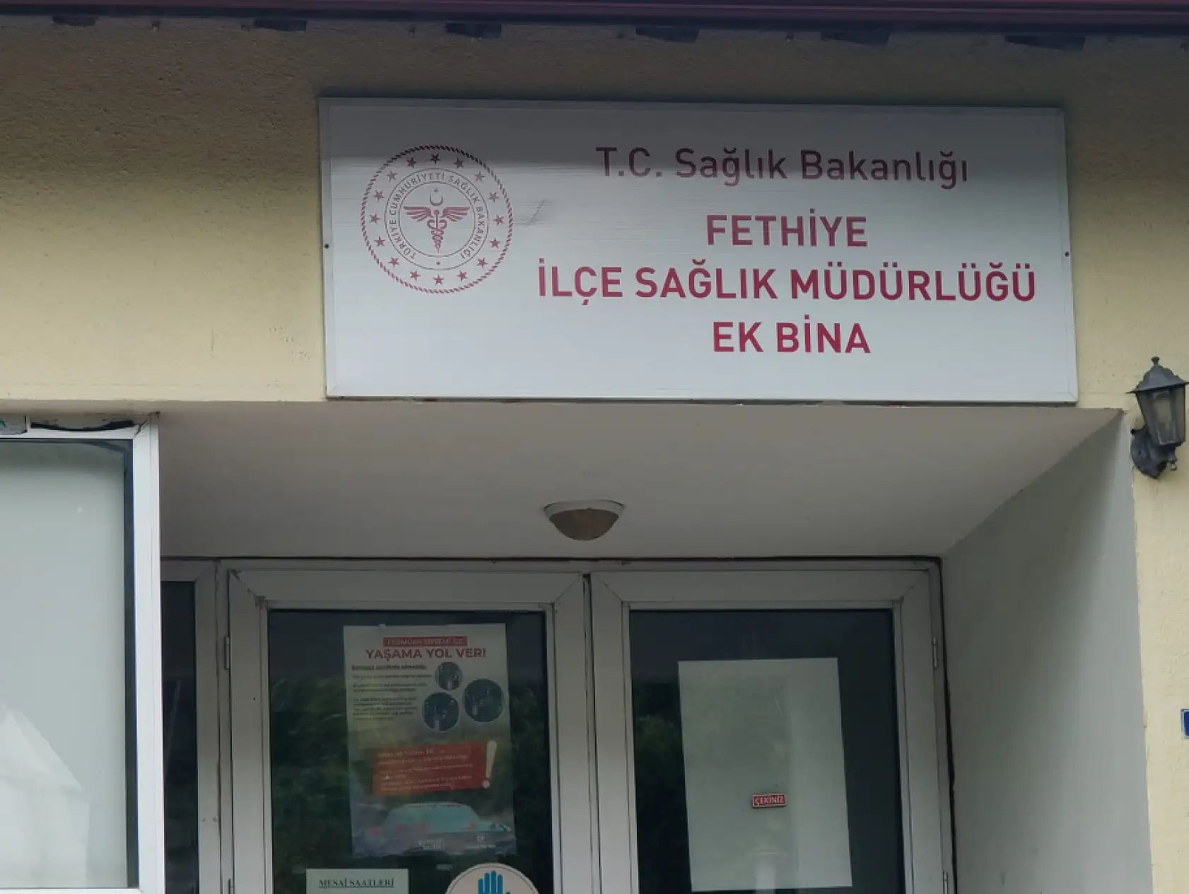 Yaban domuzları Fethiye İlçe Sağlık Müdürlüğü bahçesini istila etti