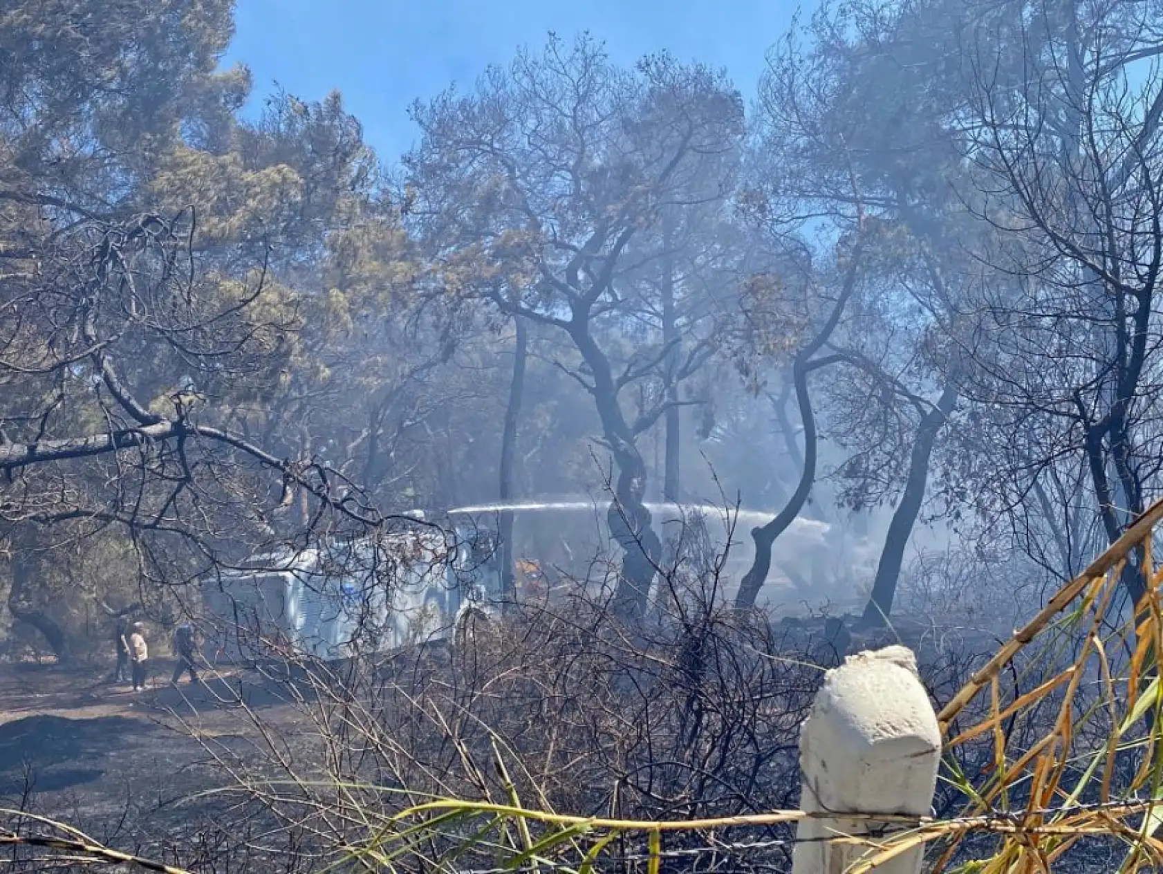 Antalya'daki orman yangınında duygulandıran anlar