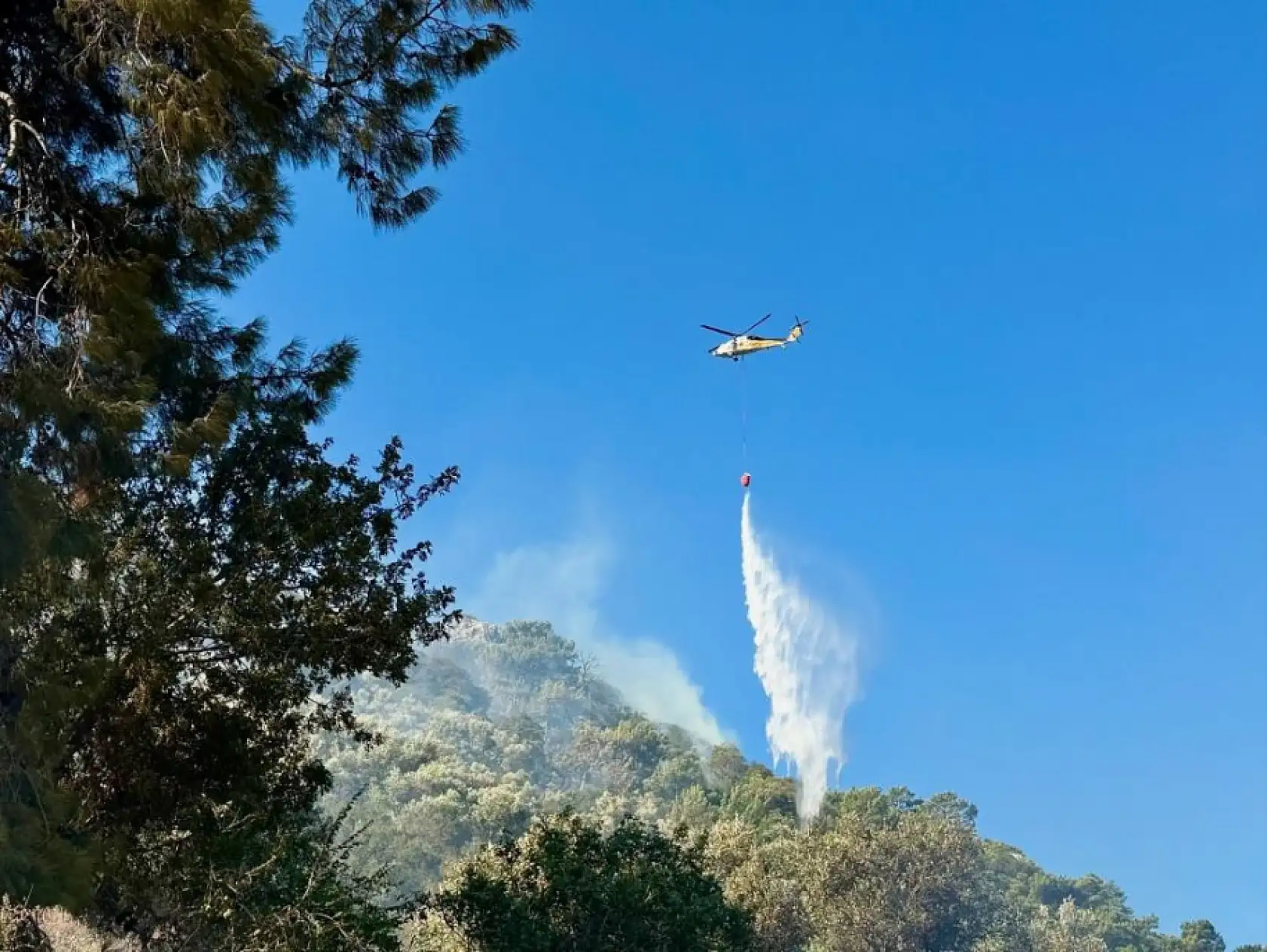 Ortaca Sarıgerme'deki orman yangını kontrol altına alındı