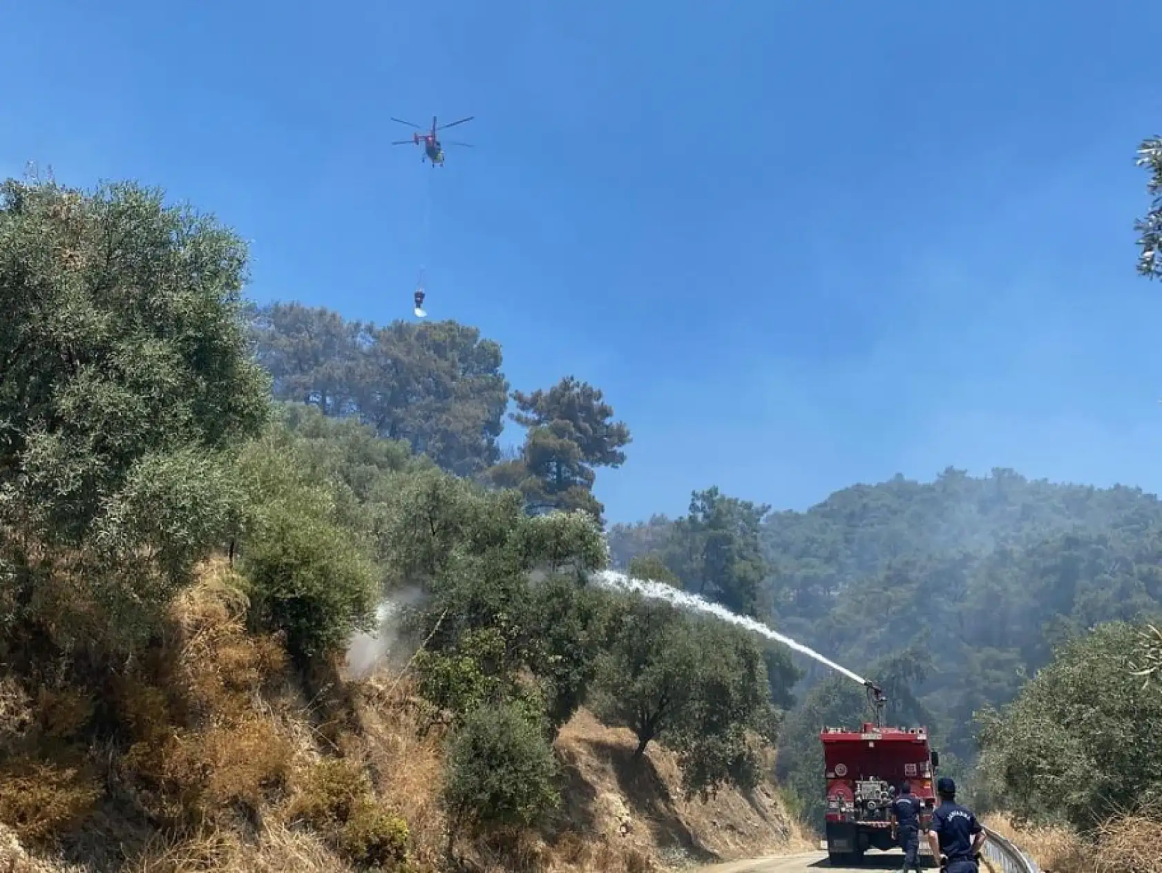 Aydın Germencik'teki orman yangını kontrol altına alındı