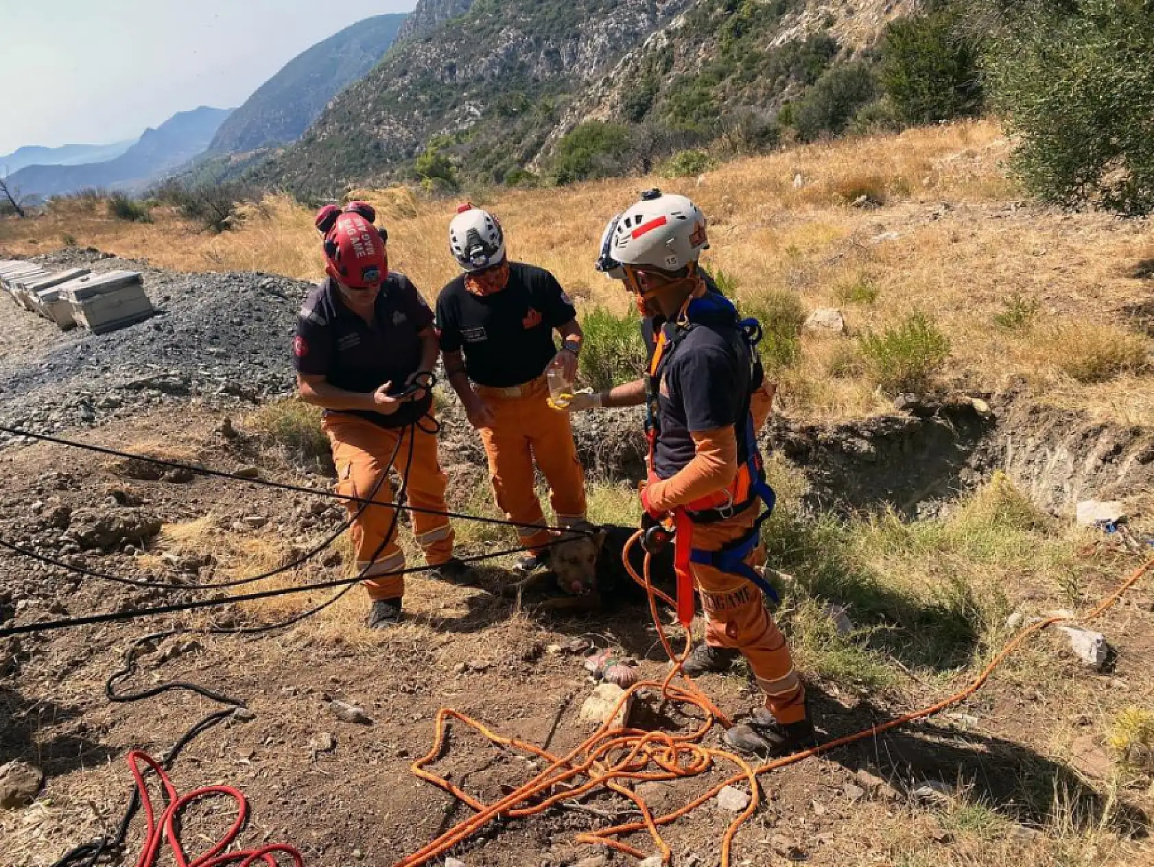 Datça'da kuyuya düşen köpek MAG-AME ekibince kurtarıldı