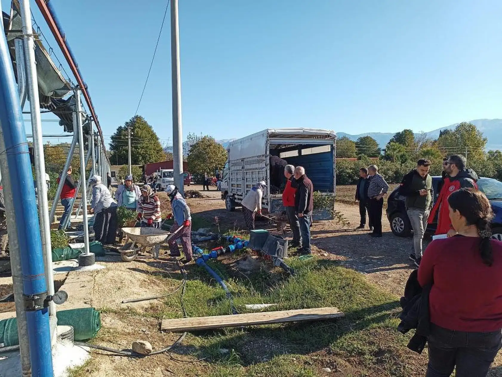 40 bin adet Keçiboynuzu Fidanı üreticilere dağıtıldı