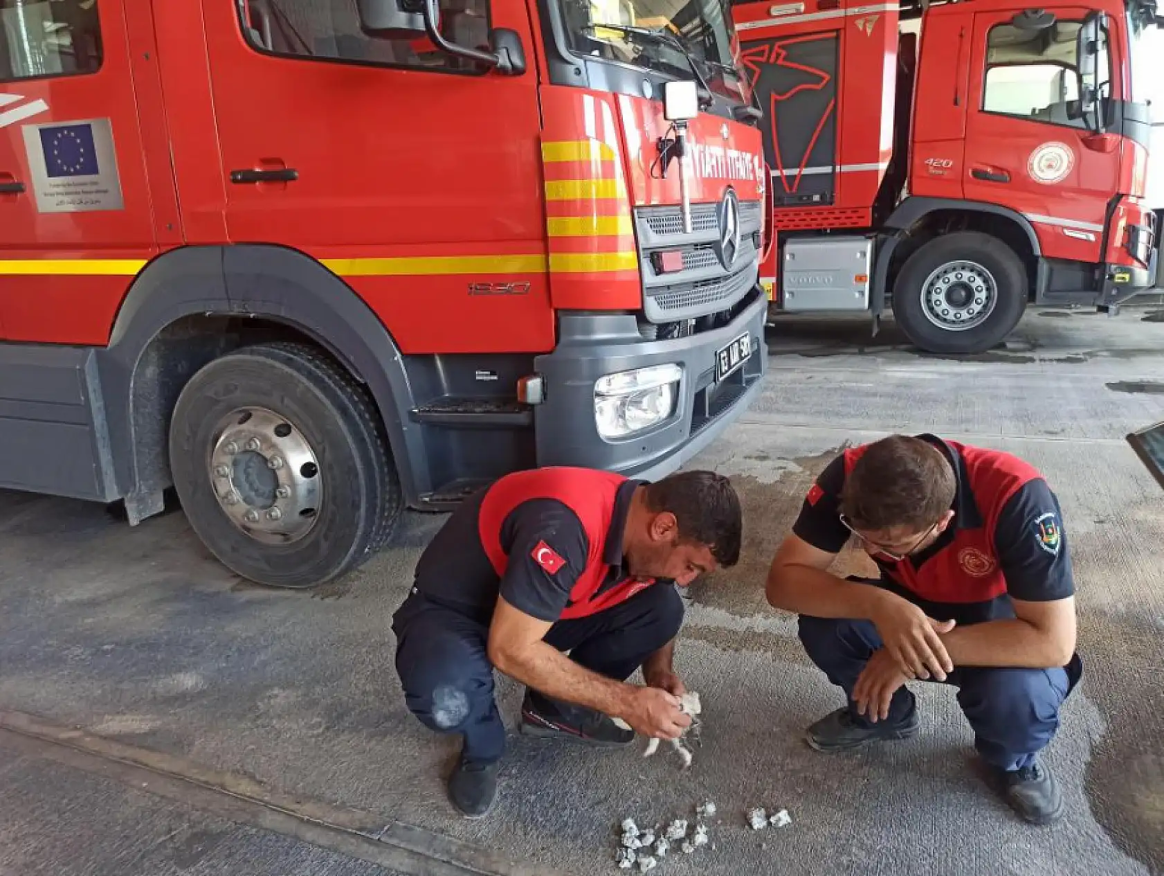 Akıl almaz olay: Beton kalıpta mahsur kalan yavru kedi kurtarıldı