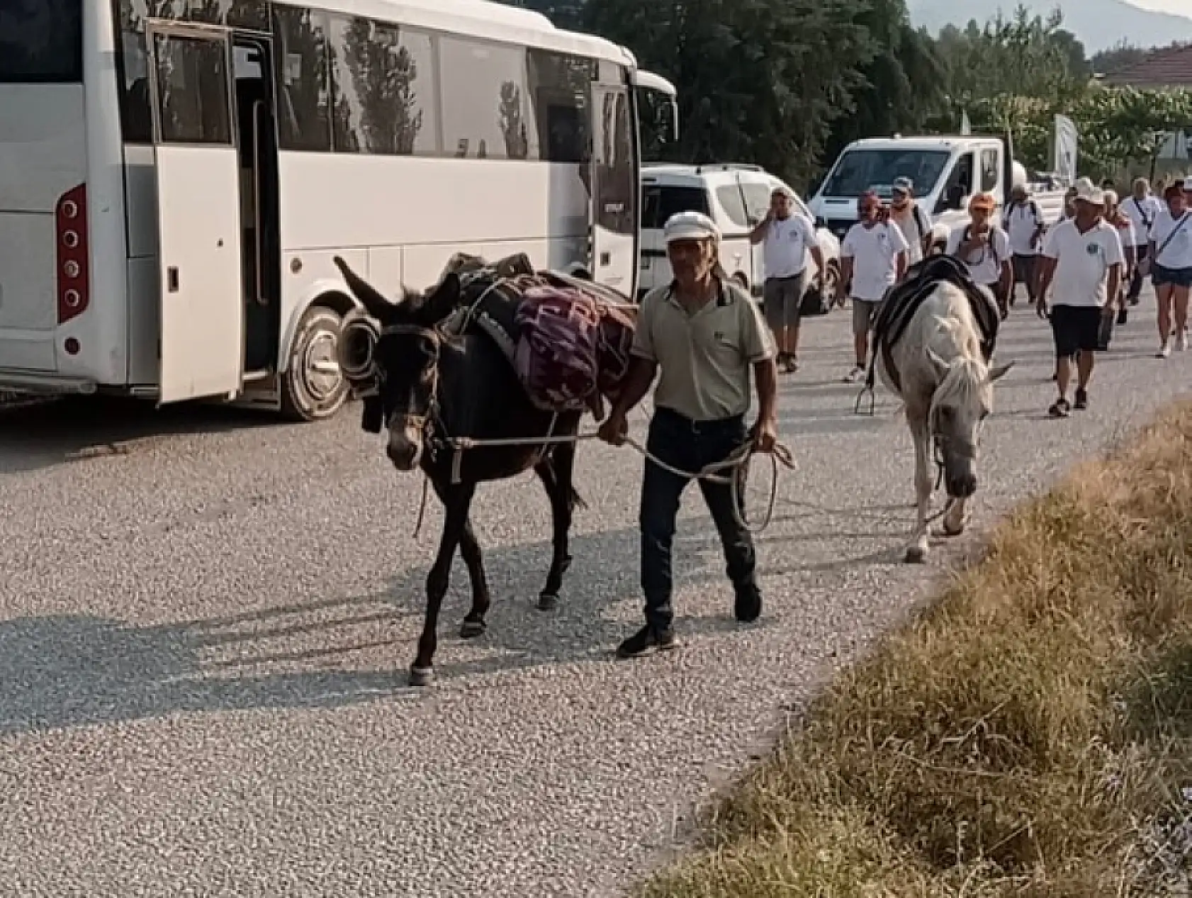 22. Geleneksel Göcek-Gürsu-Pırnaz Yayla Yürüyüşü Tamamlandı