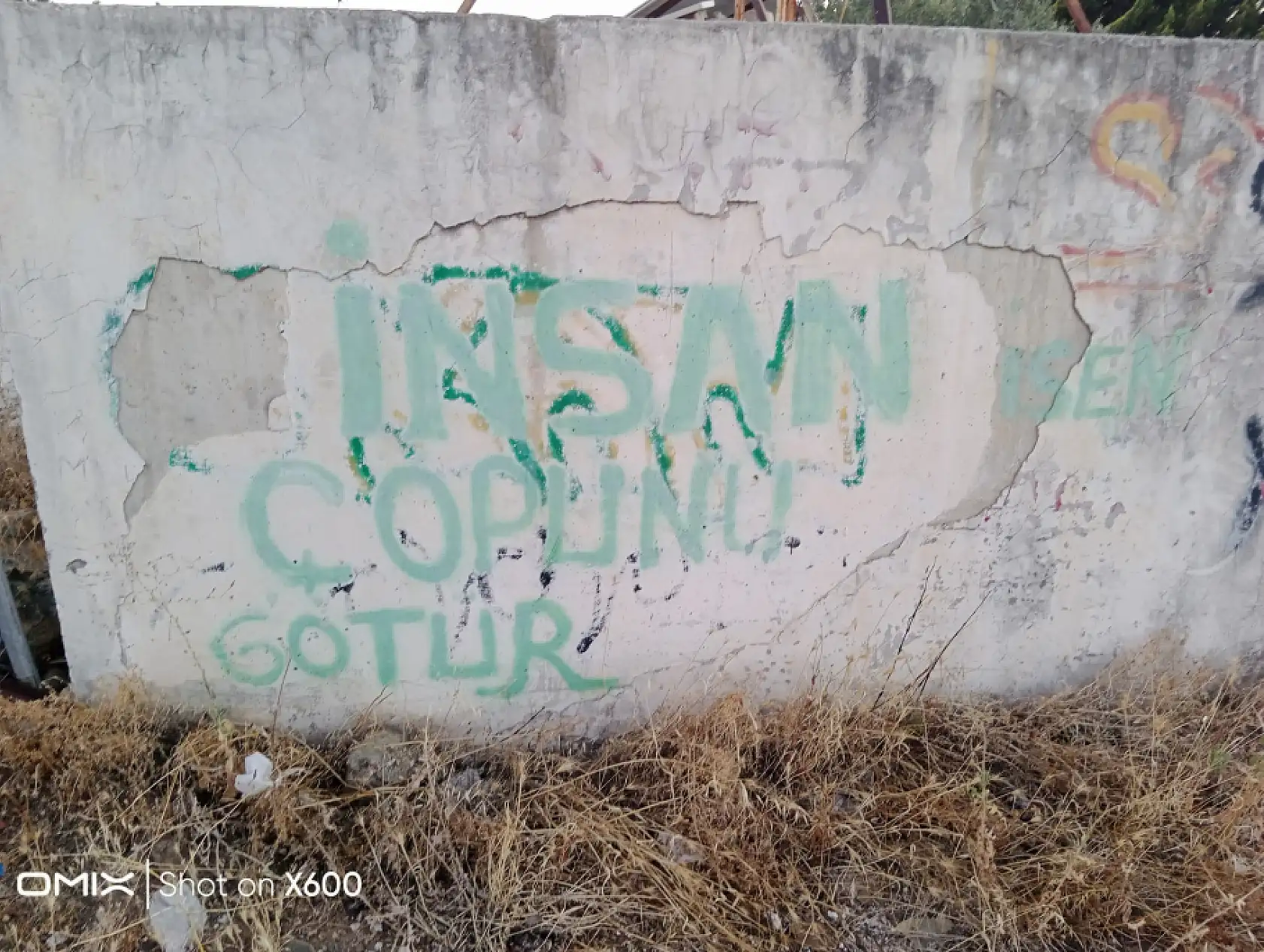 Fethiye'de Foça Mahallesi Muhtarı Sitem Etti! 'Yemişler İçmişler Gitmişler'