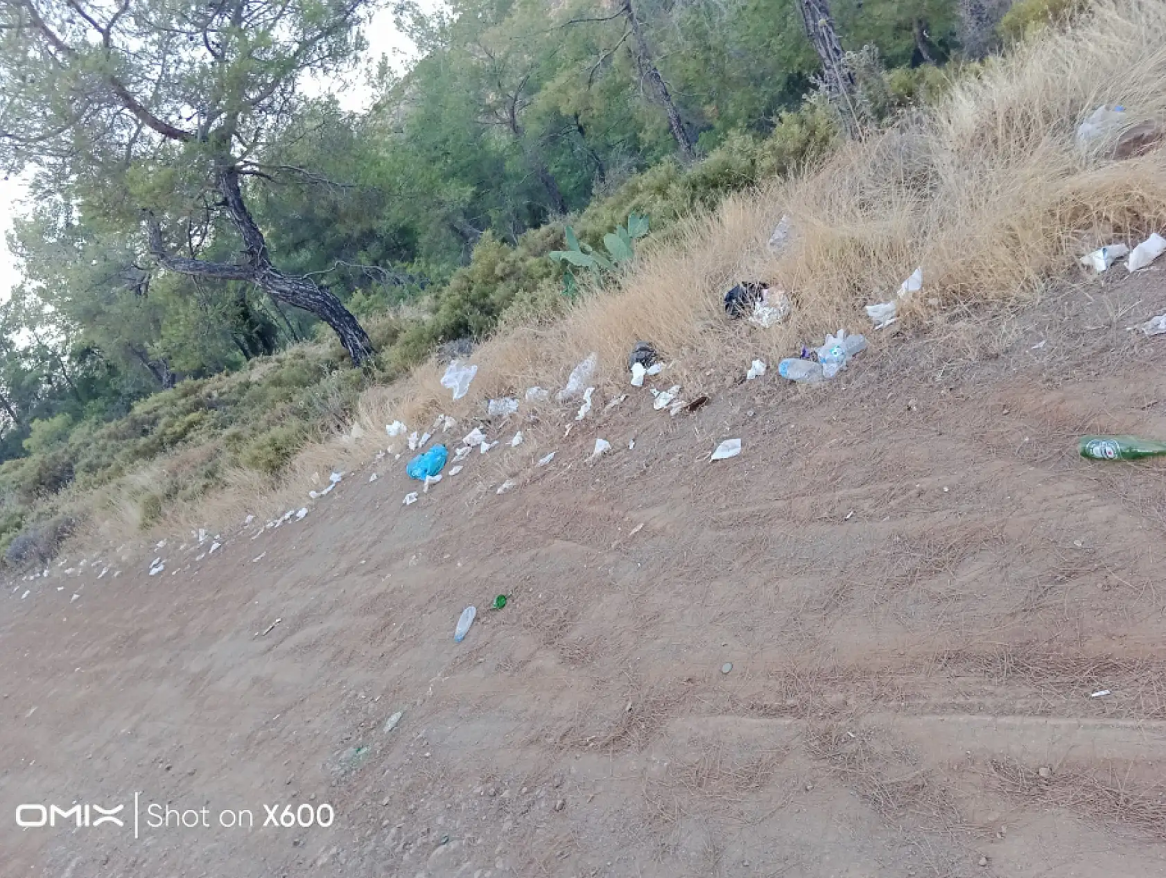 Fethiye'de Foça Mahallesi Muhtarı Sitem Etti! 'Yemişler İçmişler Gitmişler'