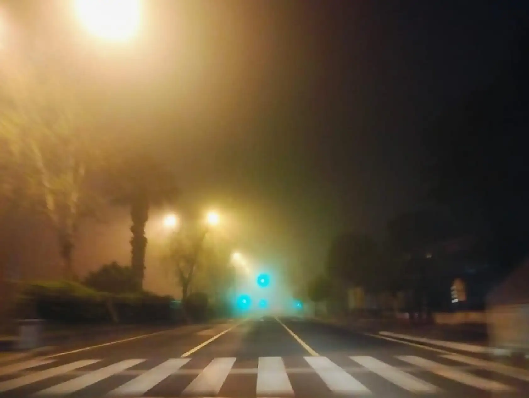 Aydın-Muğla yolunda yoğun sis