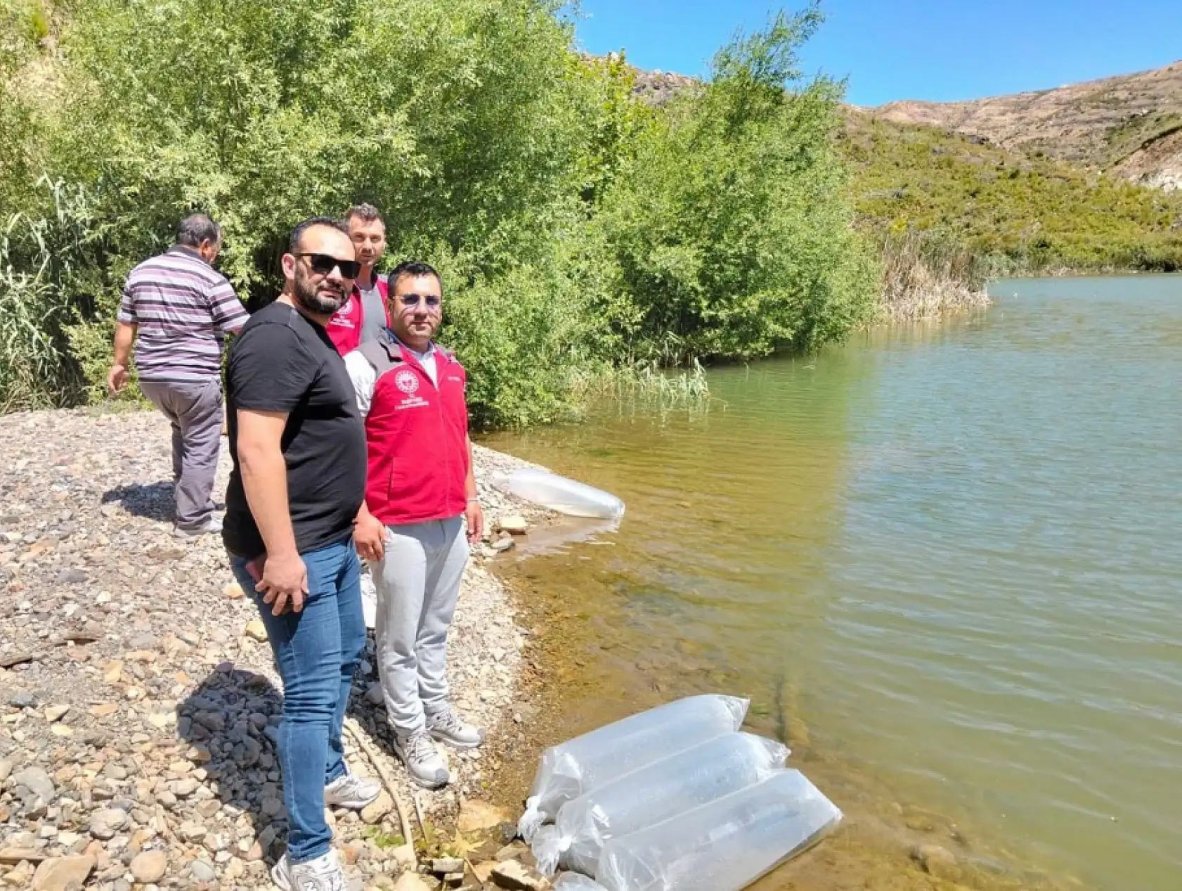 Kozağaç Baraj Gölü'ne 40 bin sazan yavrusu bırakıldı