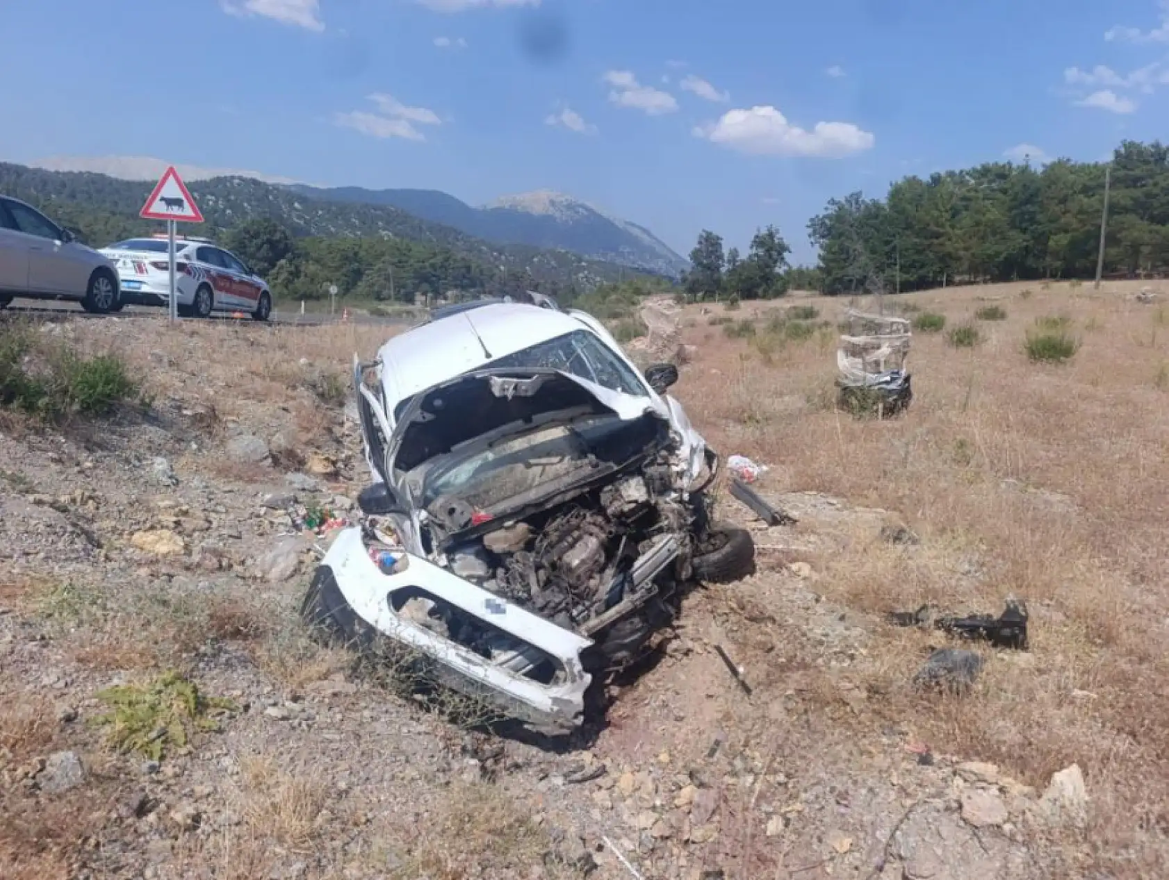 Sürücü direksiyon hakimiyetini kaybetti, araç şarampole devrildi