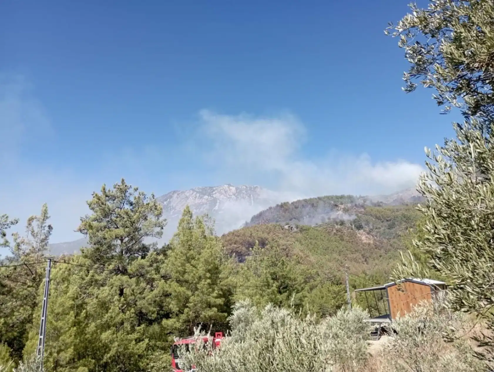 Tarım Bakanı Yumaklı Açıkladı: 'Muğla ve Alanya Yangınları Kontrol Altında'