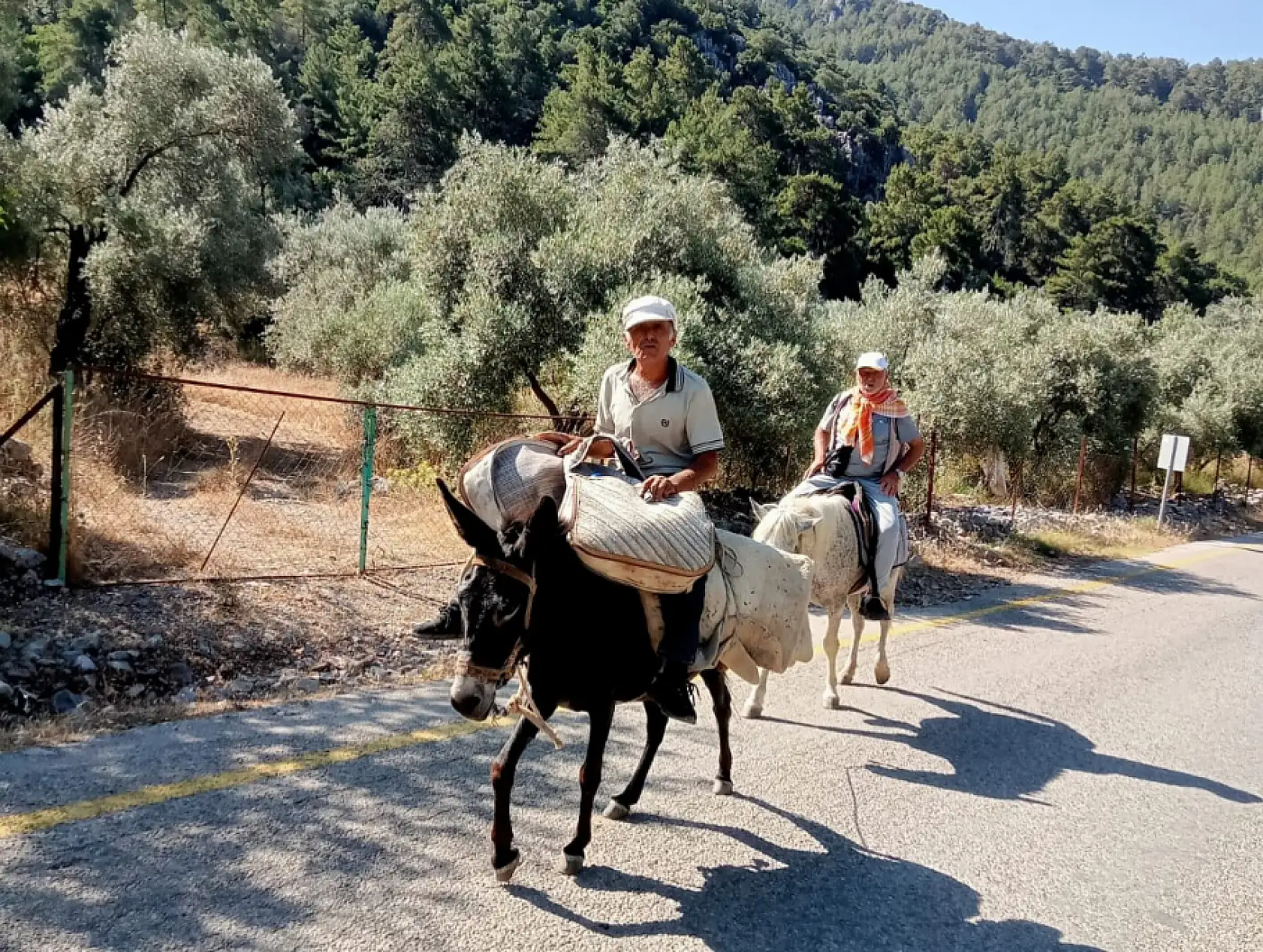 22. Geleneksel Göcek-Gürsu-Pırnaz Yayla Yürüyüşü Tamamlandı