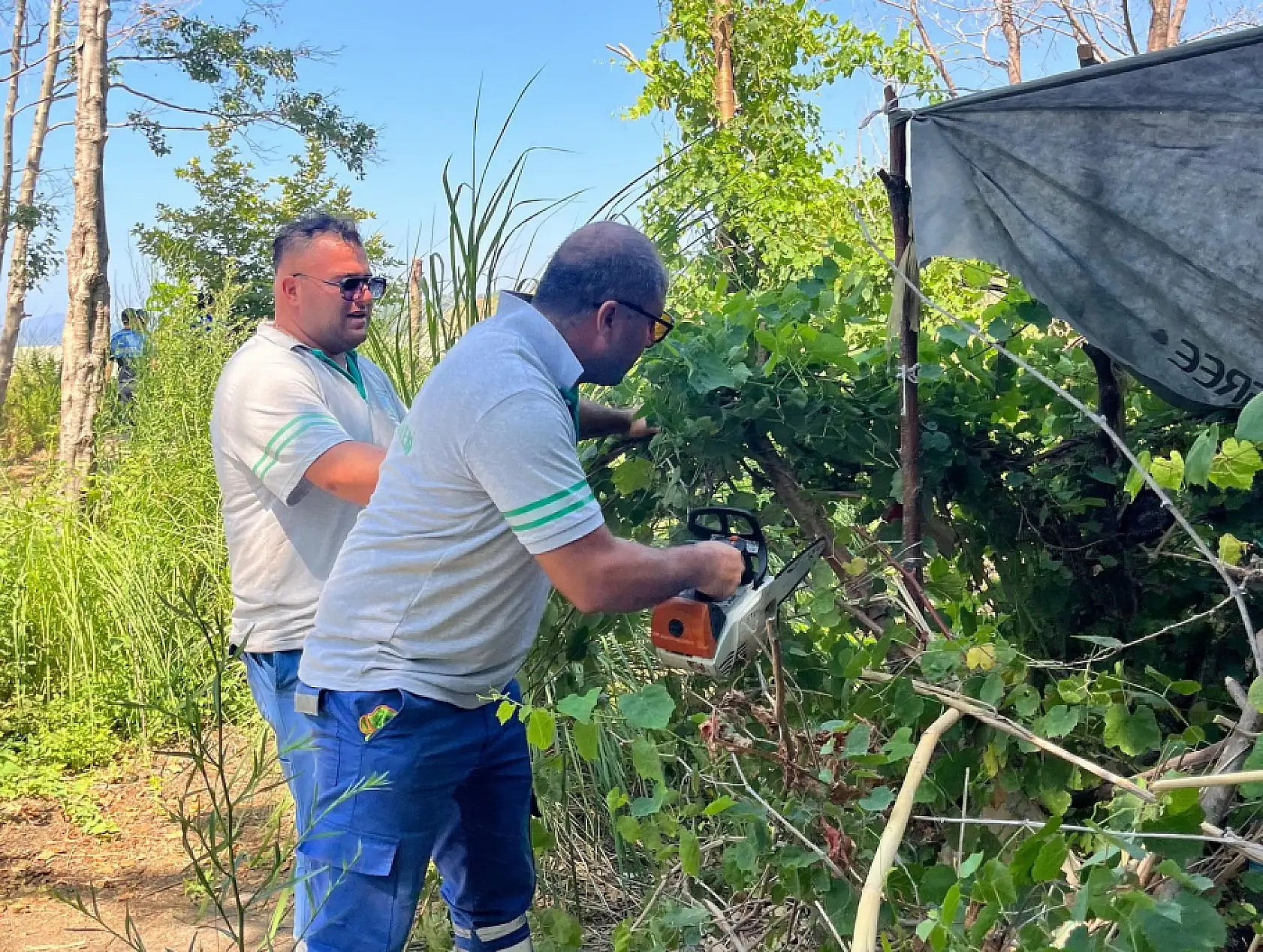 Fethiye Belediyesi'nden Ormanlık Alanlarda Çadır Denetimi