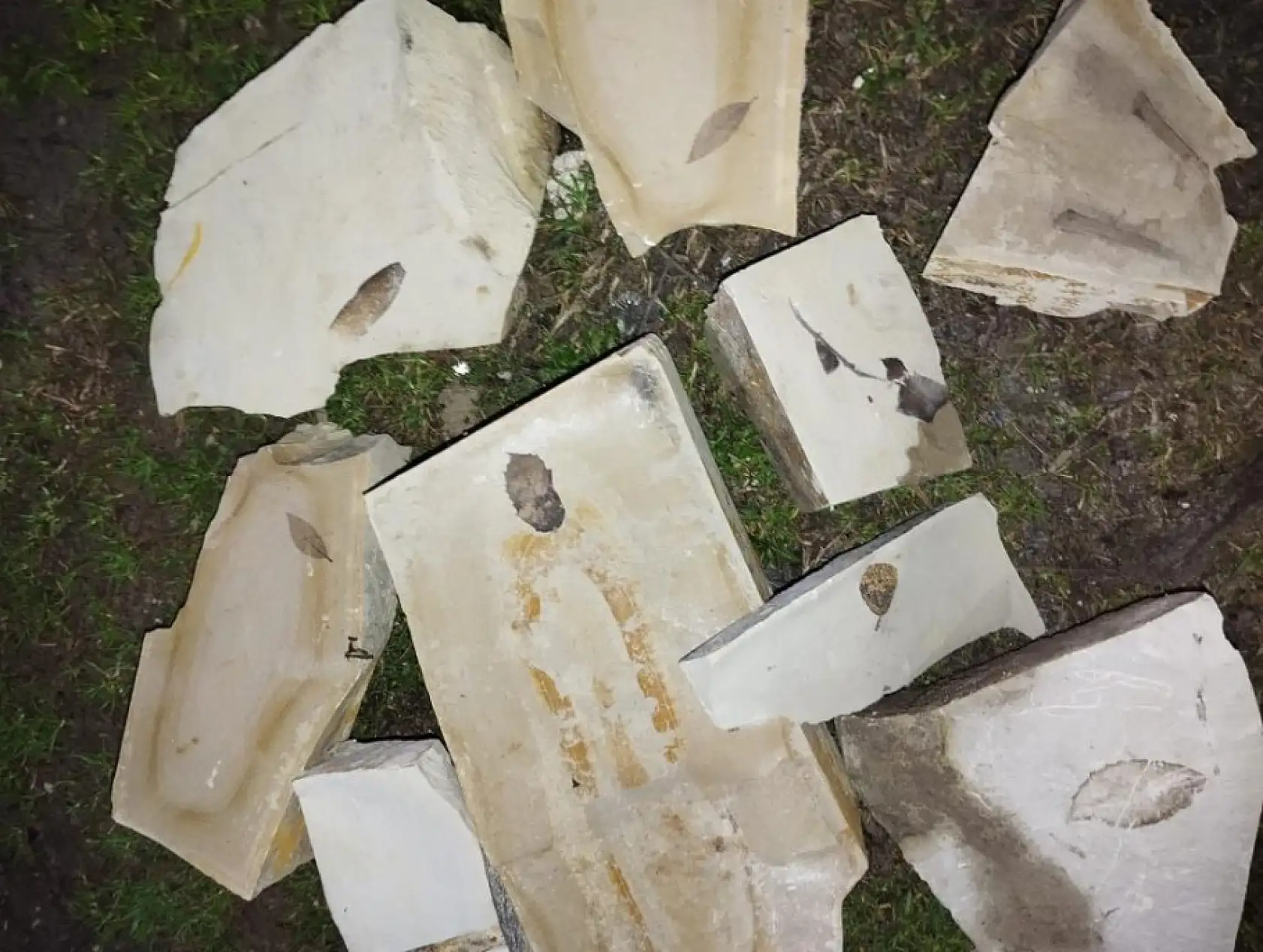 Bölgedeki arazi incelemesinde efsanevi 15 milyon yıllık fosil bulundu