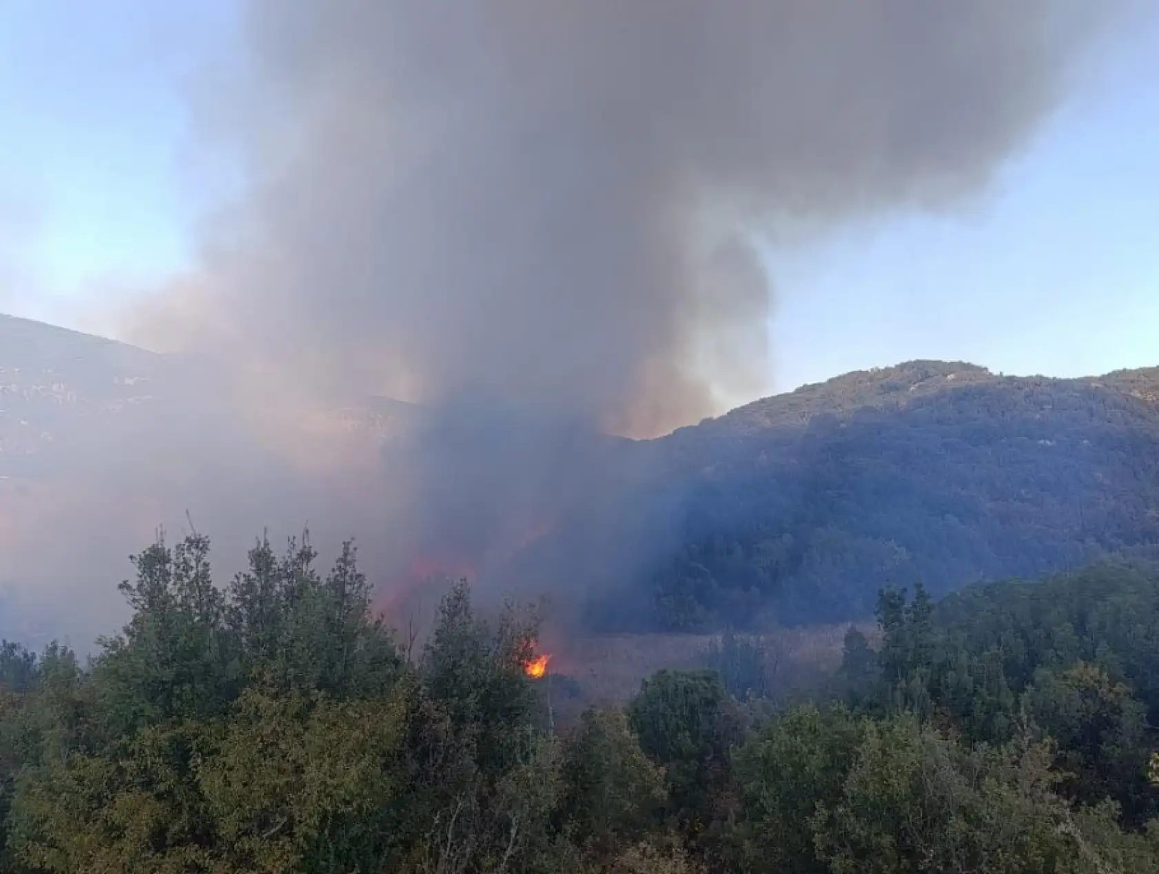 Burdur'da tarlada çıkan yangın ormanlık alana sıçradı