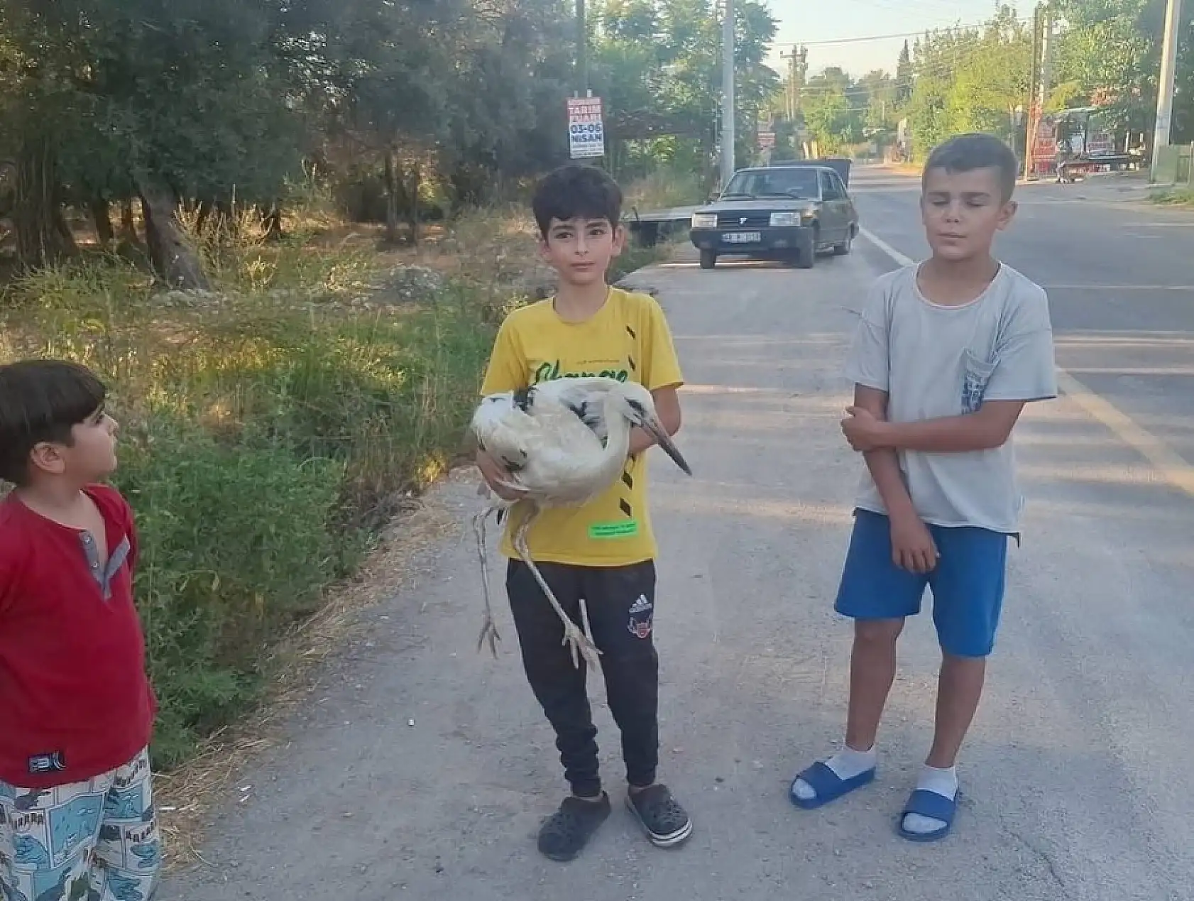 Güneşli Mahallesi'nde Yaralı Leyleği Duyarlı Gençler Kurtardı