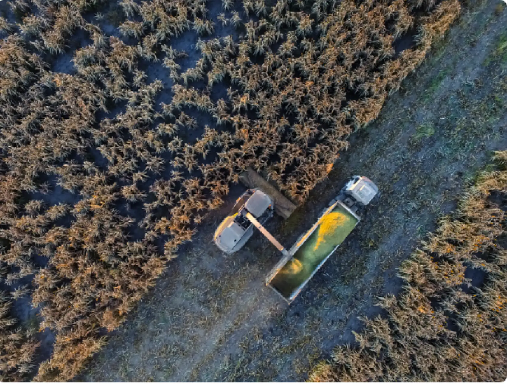 Tarımsal üretimde kullandırılacak kredilere ilişkin esaslar belirlendi