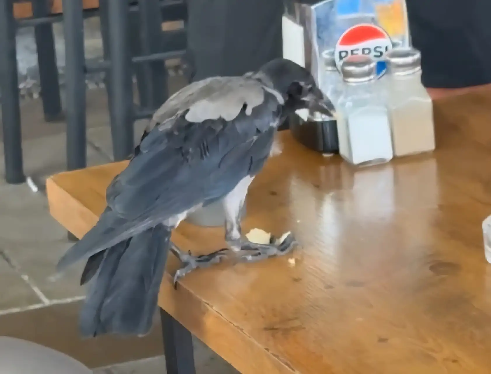 Sıcağa dayanamayan karga çarşı çarşı dolaşıp su içti, karnını doyurdu