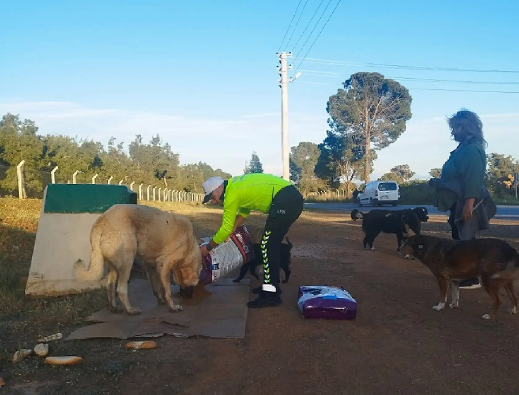 Fethiye polisi sokak hayvanlarını unutmadı