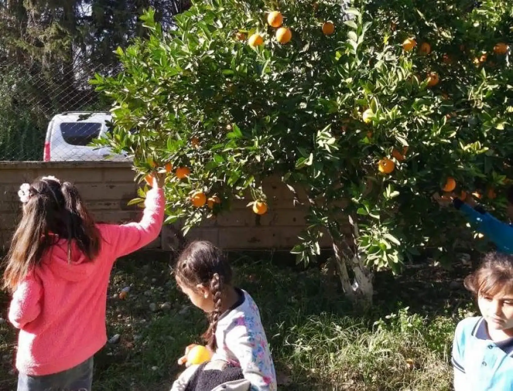 Seydikemer'de öğrencilere portakal suyu ikramı