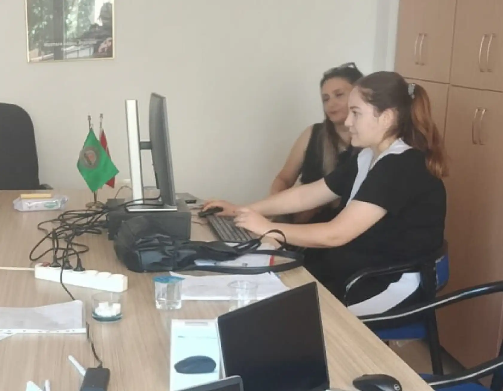 Ortaca'da tarım sayımları devam ediyor