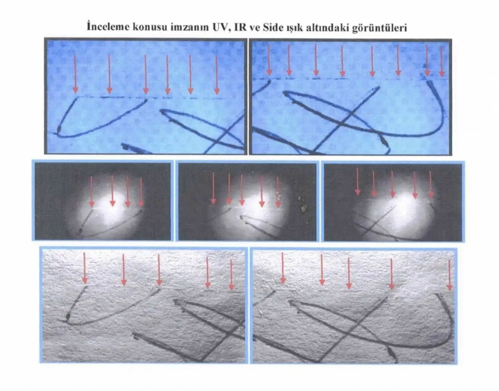 Almanya'dan Türkiye'ye geldi: 200 milyon lira dolandırıldı