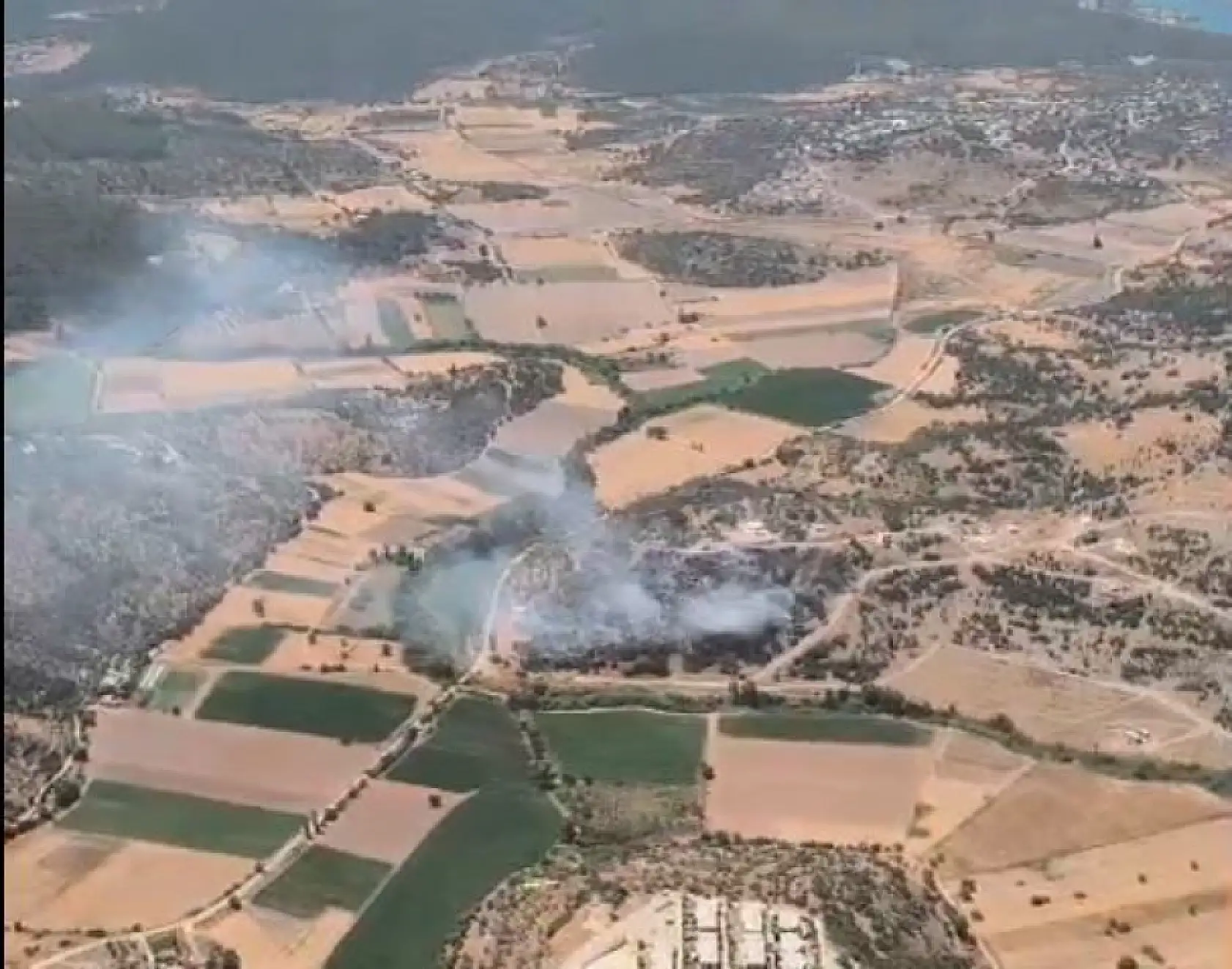 Milas'taki yangın kontrol altına alındı