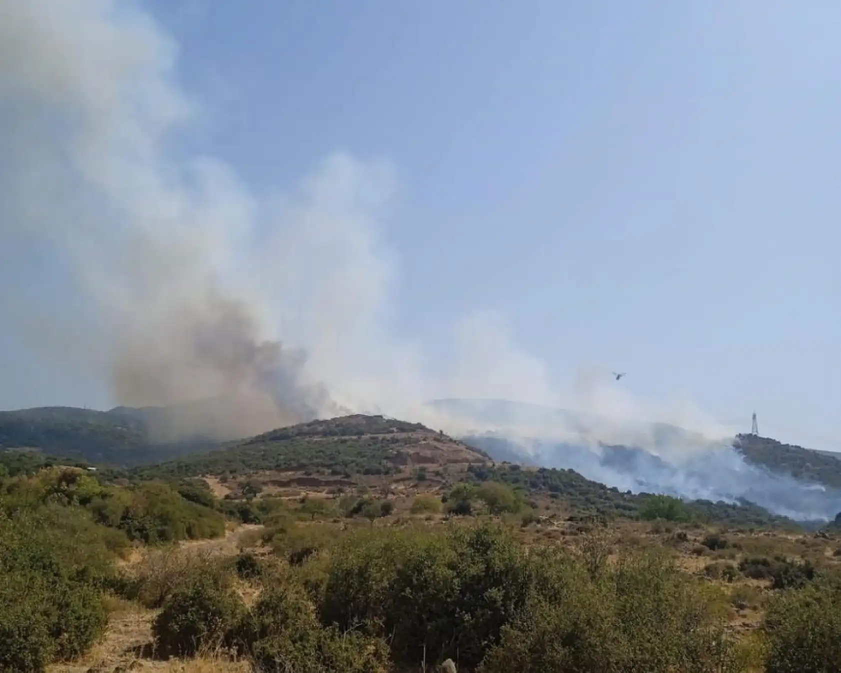 İzmir Aliağa'da makilik alanda yangın
