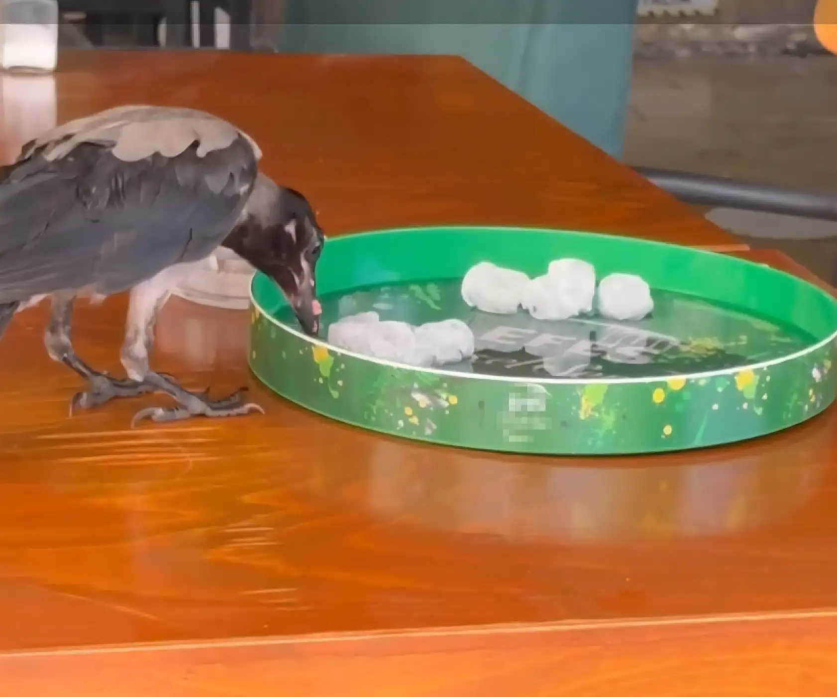 Sıcağa dayanamayan karga çarşı çarşı dolaşıp su içti, karnını doyurdu