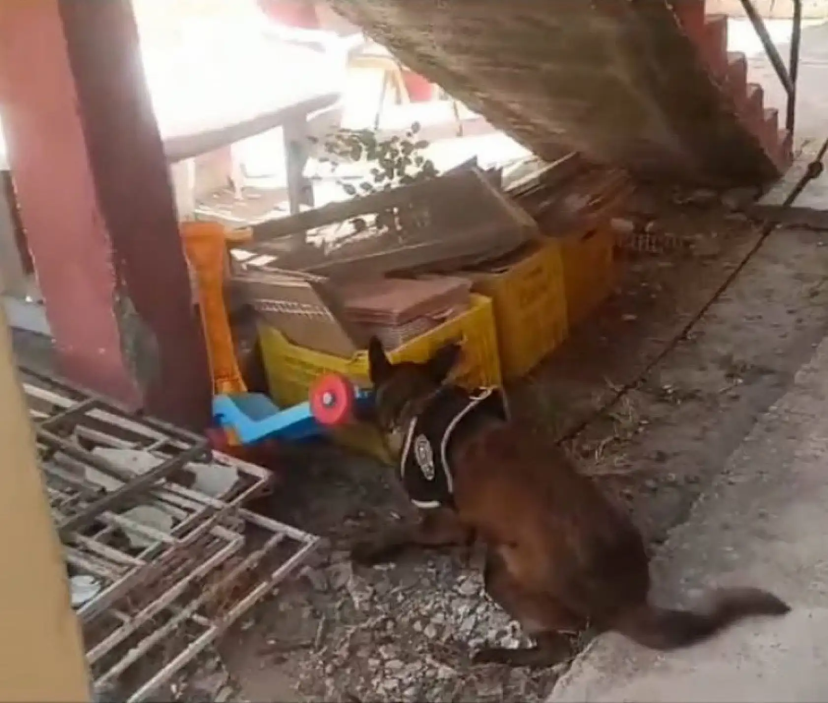 Muğla emniyetinden 'Torbacı' operasyonu: 7 gözaltı