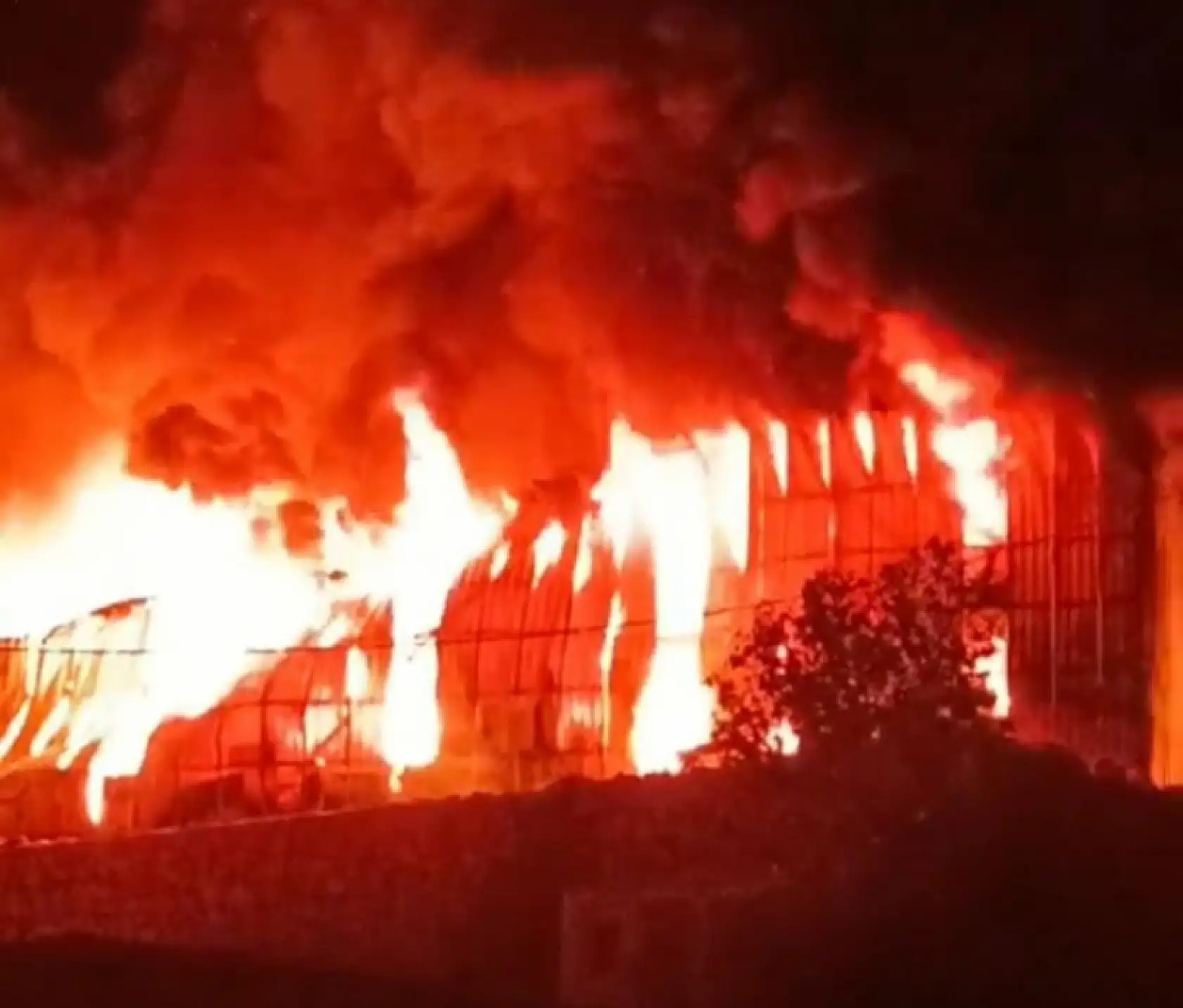 Bodrum'da yat atölyesinde çıkan büyük yangın kontrol altına alındı